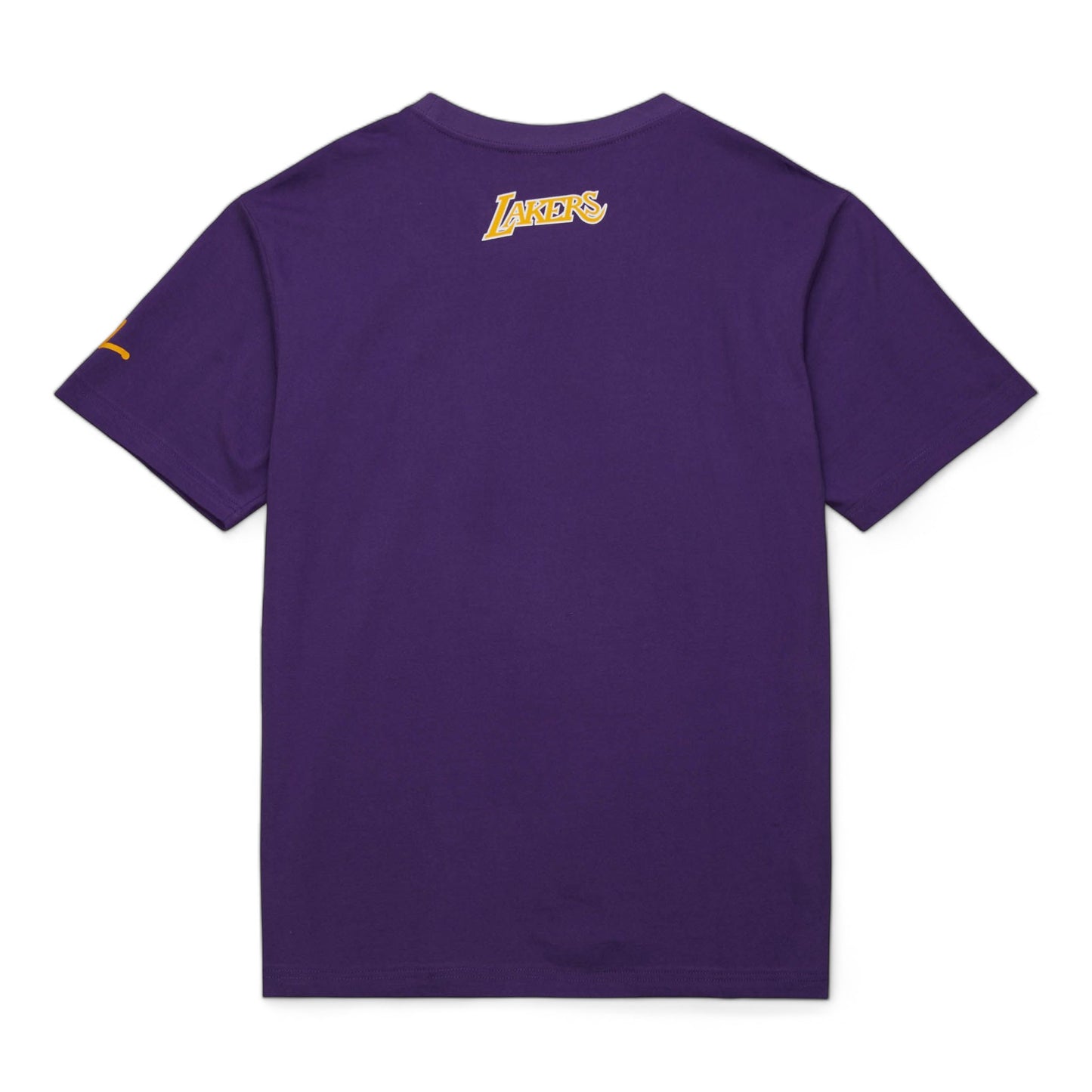 MITCHELL & NESS HEAVYWEIGHT PREMIUM ERVIN JOHNSON