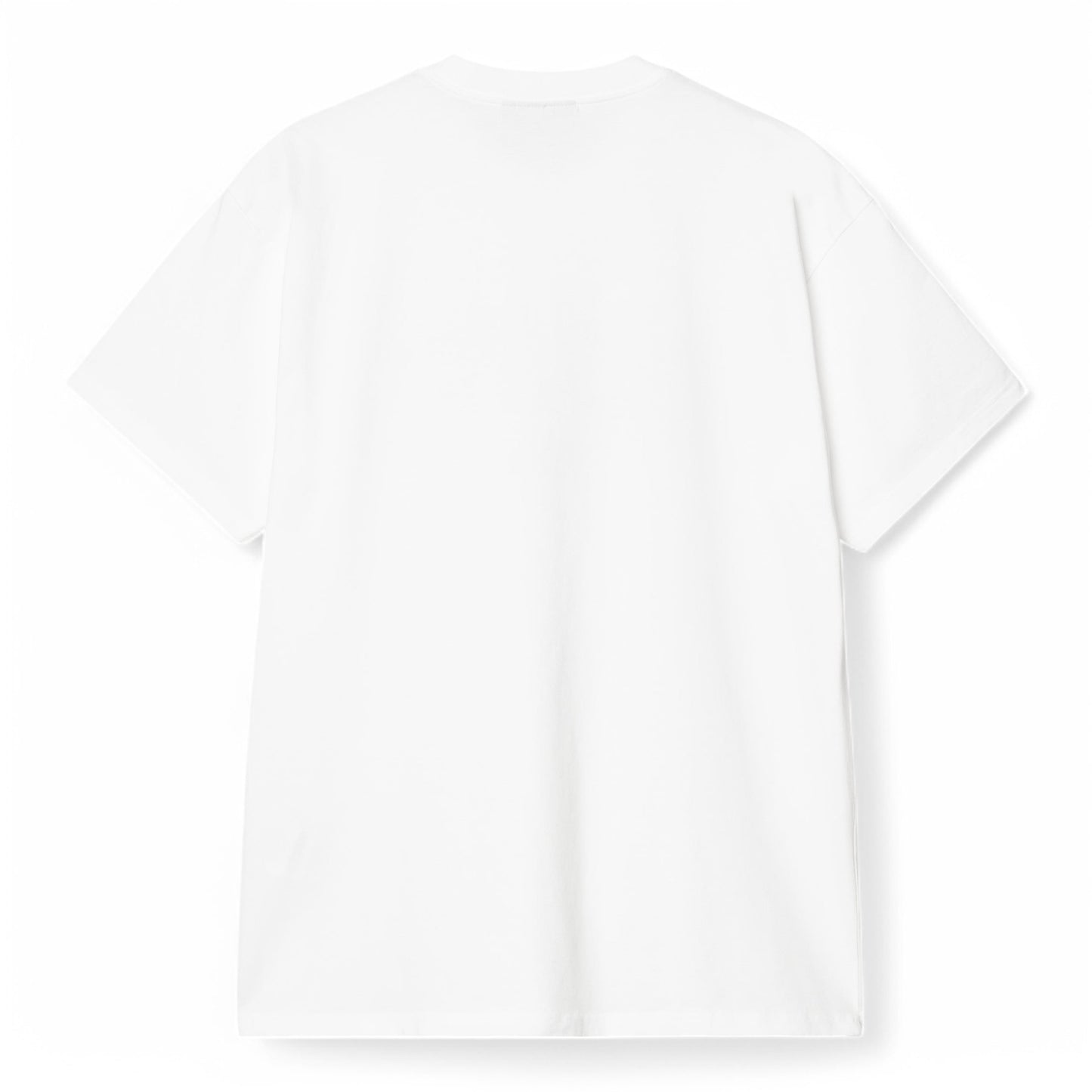 Carhartt WIP S/S LECTURE T-SHIRT