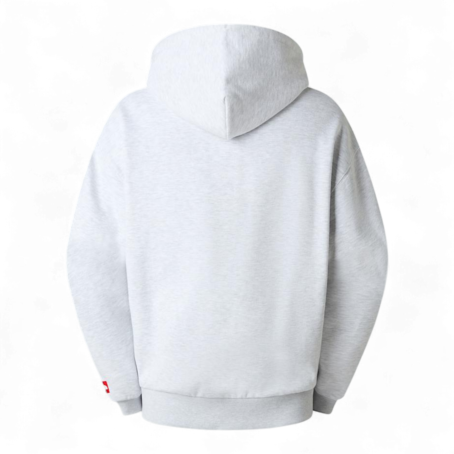 THE NORTH FACE RED BOX HOODIE