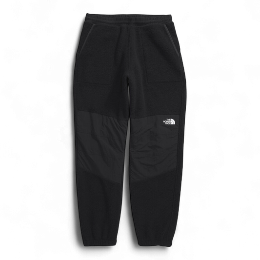 THE NORTH FACE RETRO DENALI FLEECE PANTS