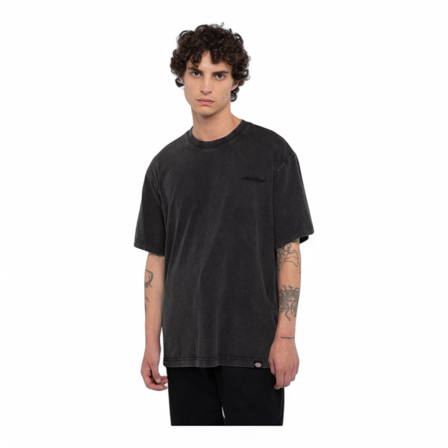 DICKIES PLENTYWOOD S/S TEE