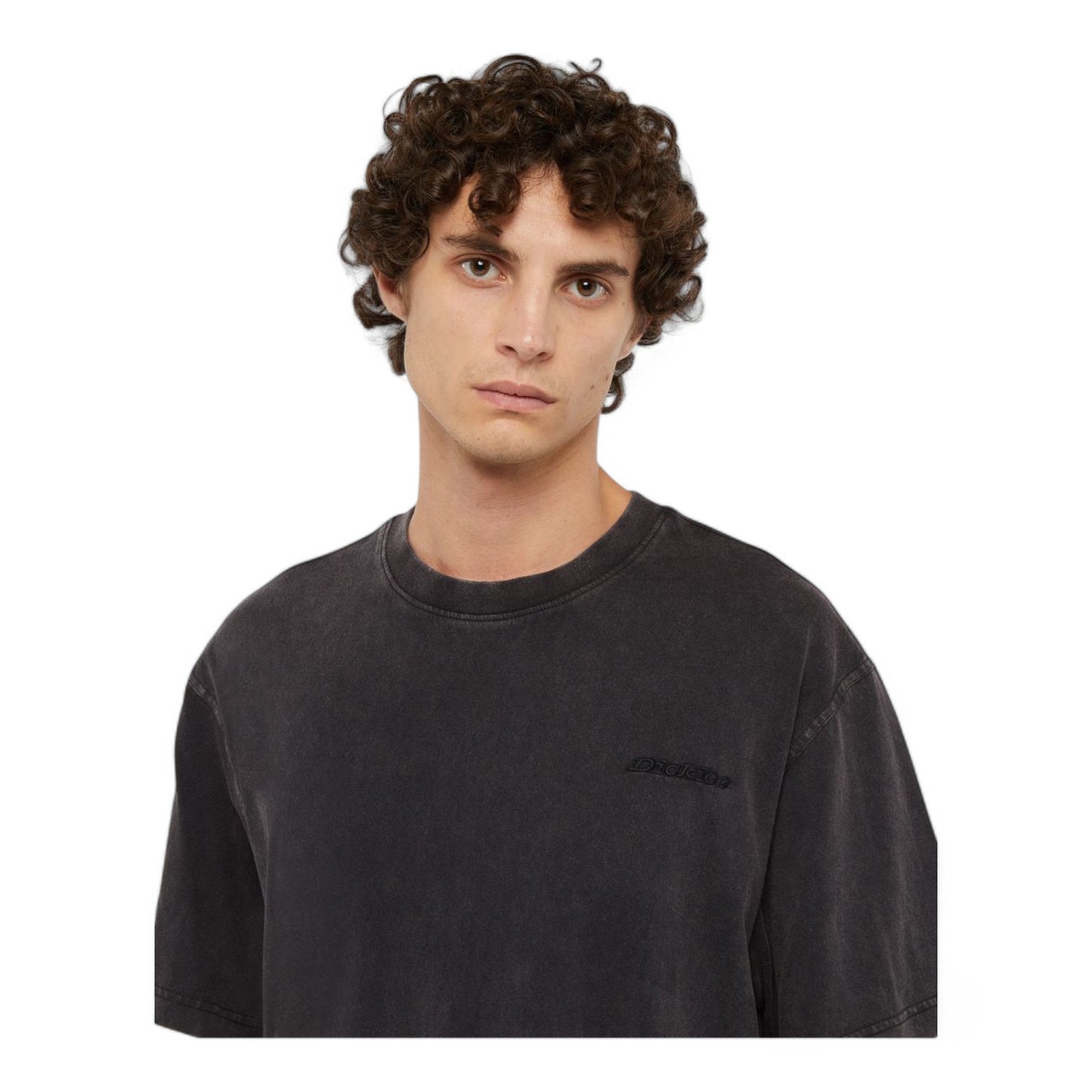 DICKIES PLENTYWOOD S/S TEE
