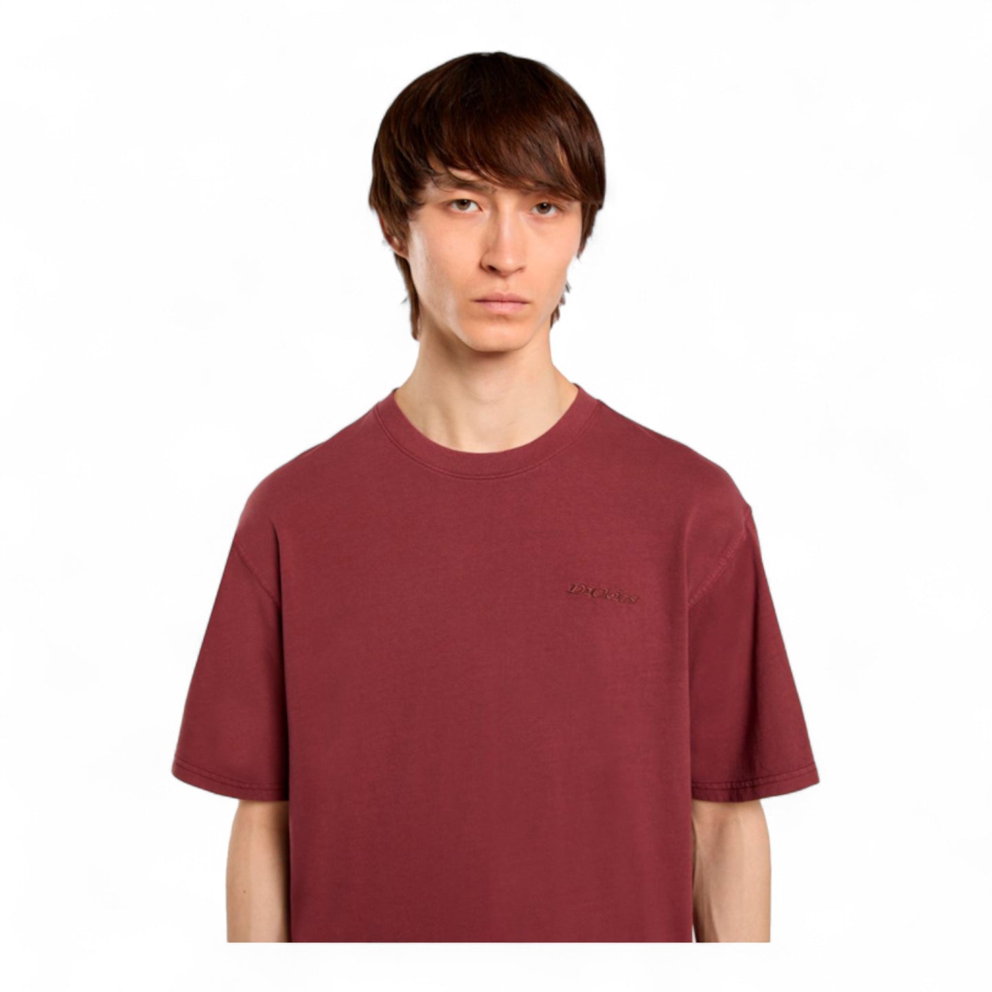 DICKIES PLENTYWOOD S/S TEE
