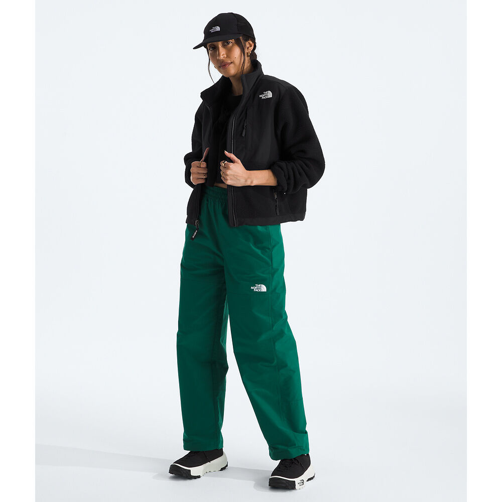 THE NORTH FACE WOMENS RETRO DENALI FLEECE JACKET