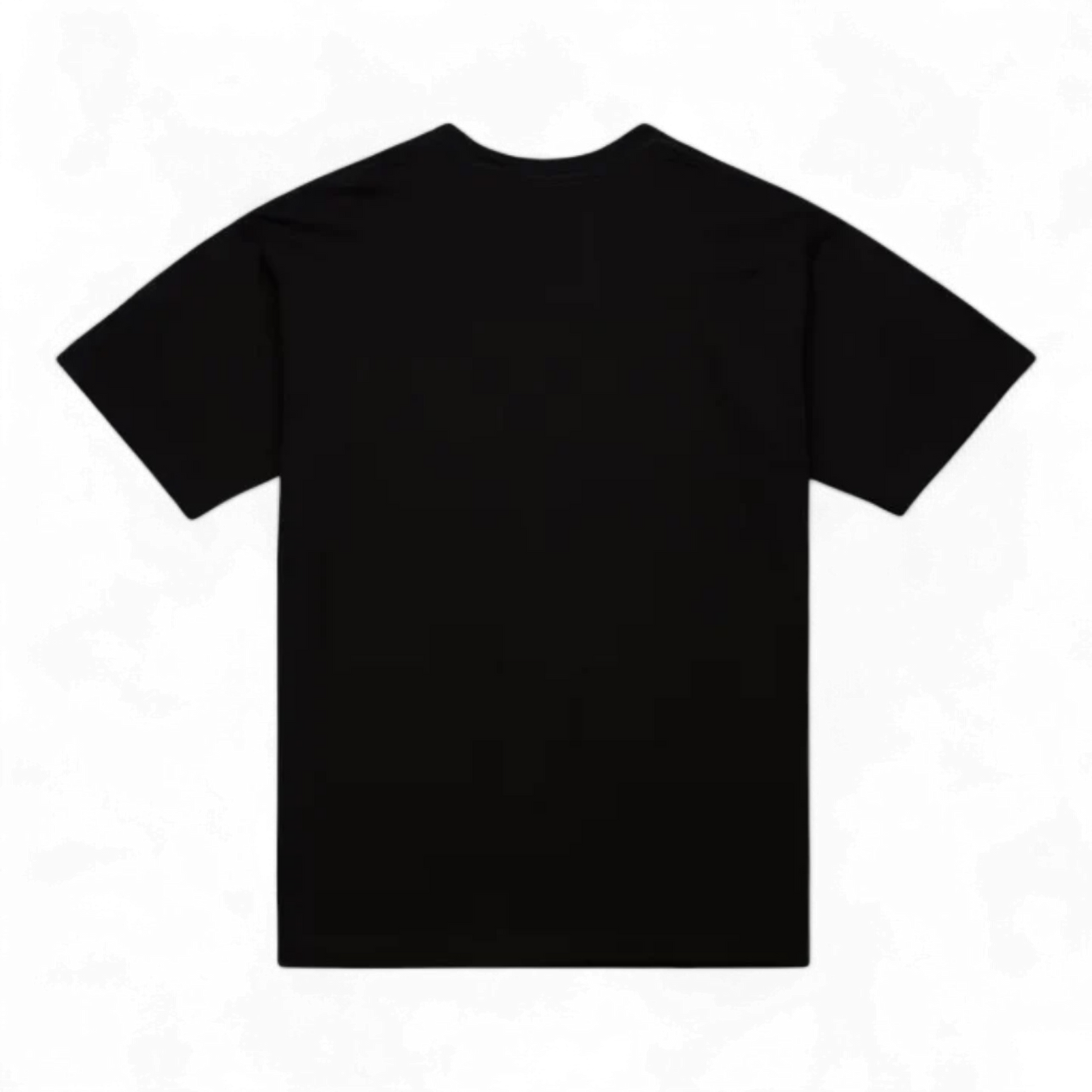 MITCHELL & ALLEN IVERSON REAL BIG FACE PLAYER T-SHIRT