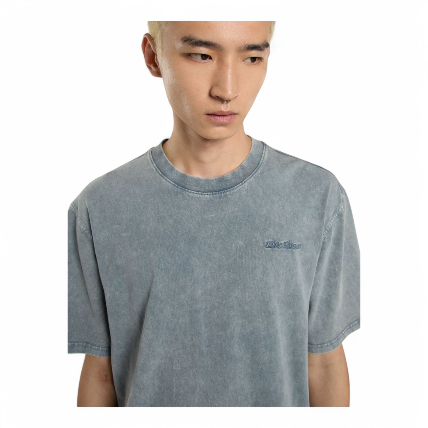 DICKIES PLENTYWOOD S/S TEE