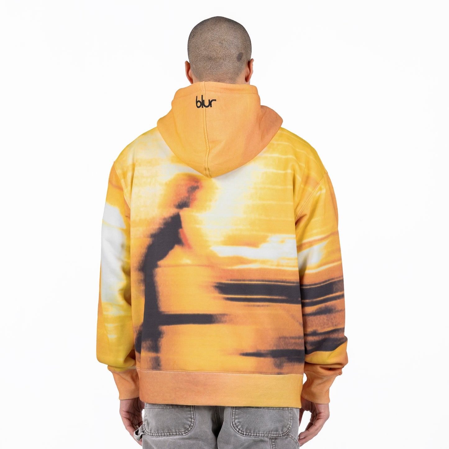 PLEASURES BLUR HOODIE - deviceone