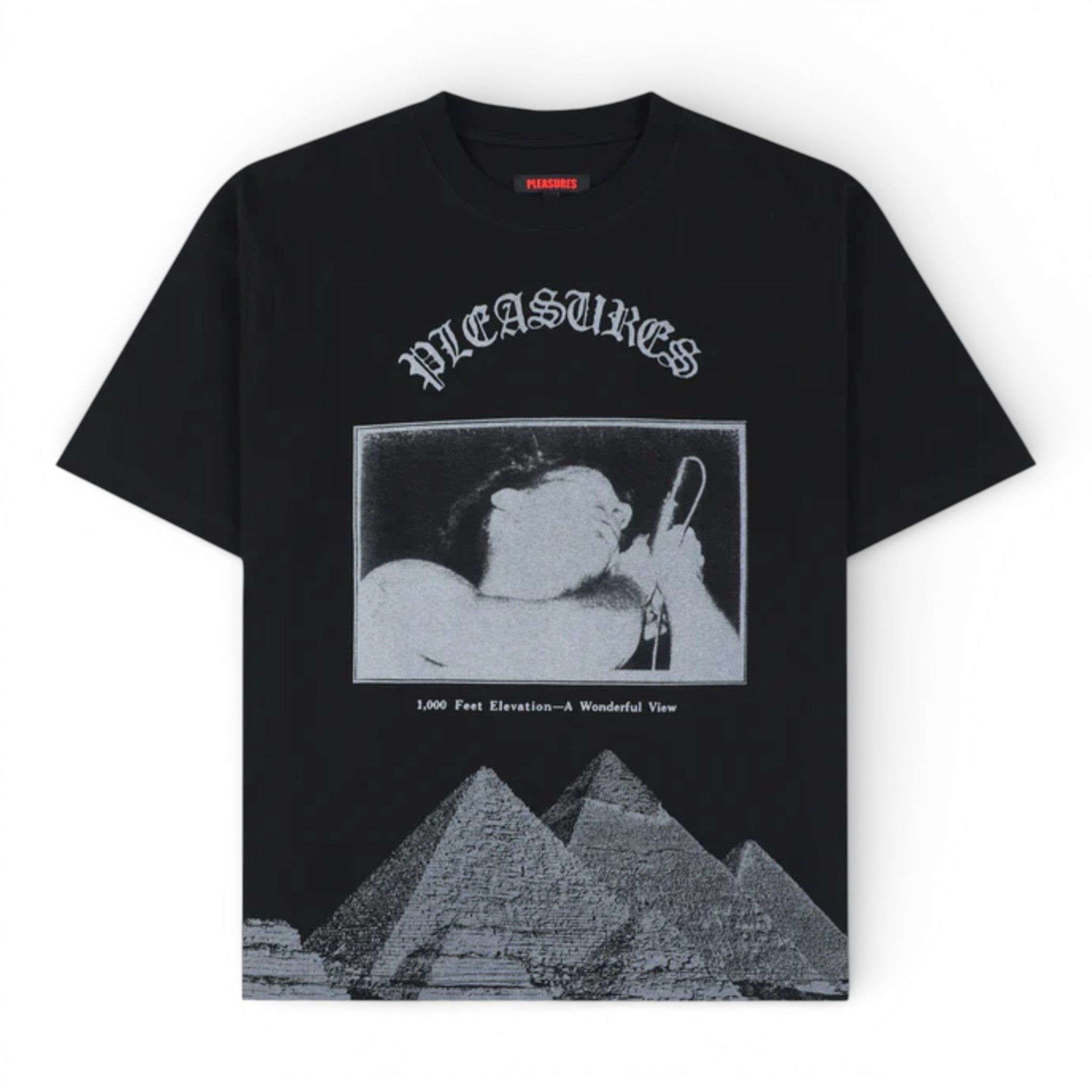 Pleasures Elevation Heavyweight Shirt