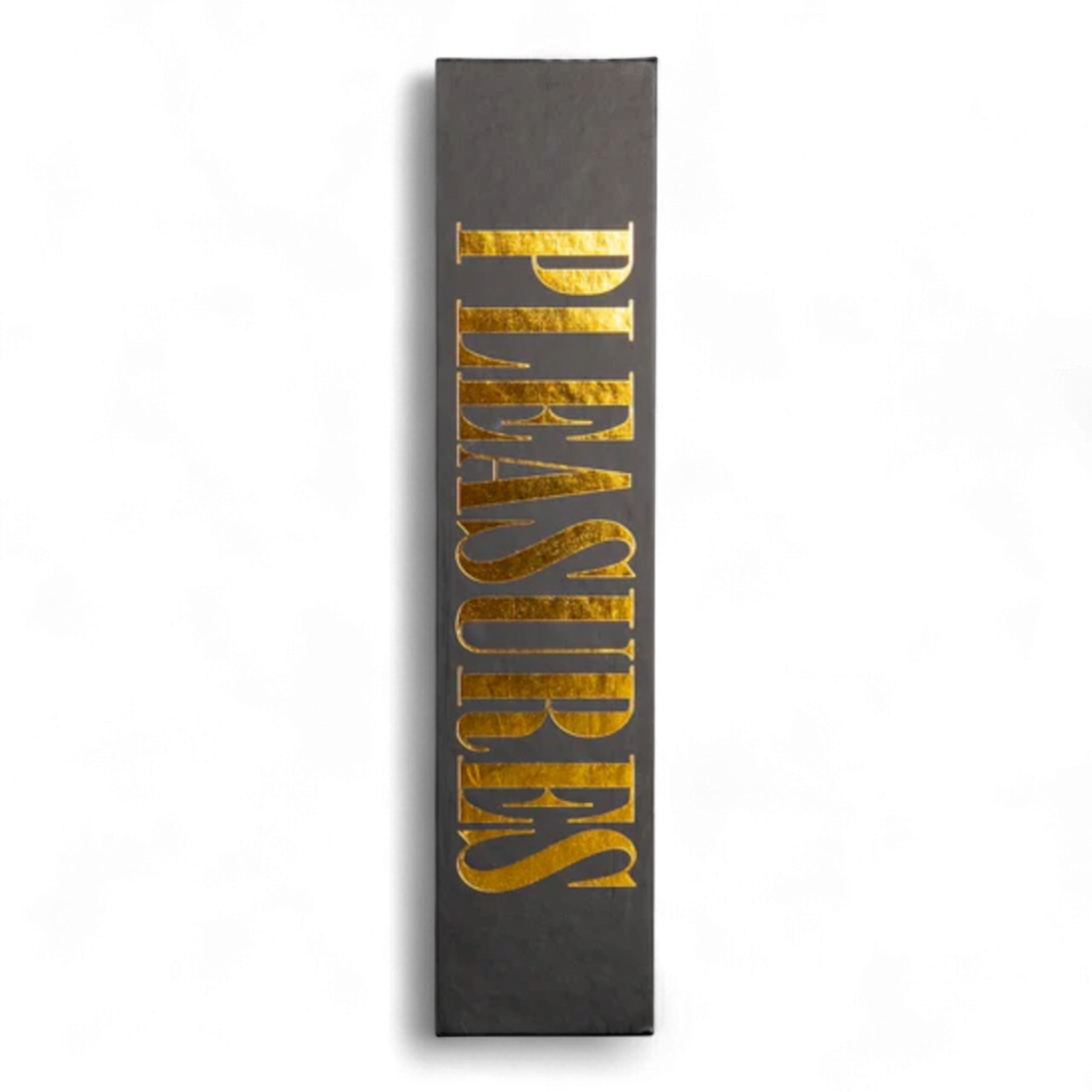 PLEASURES SAINT BOOKSAFE