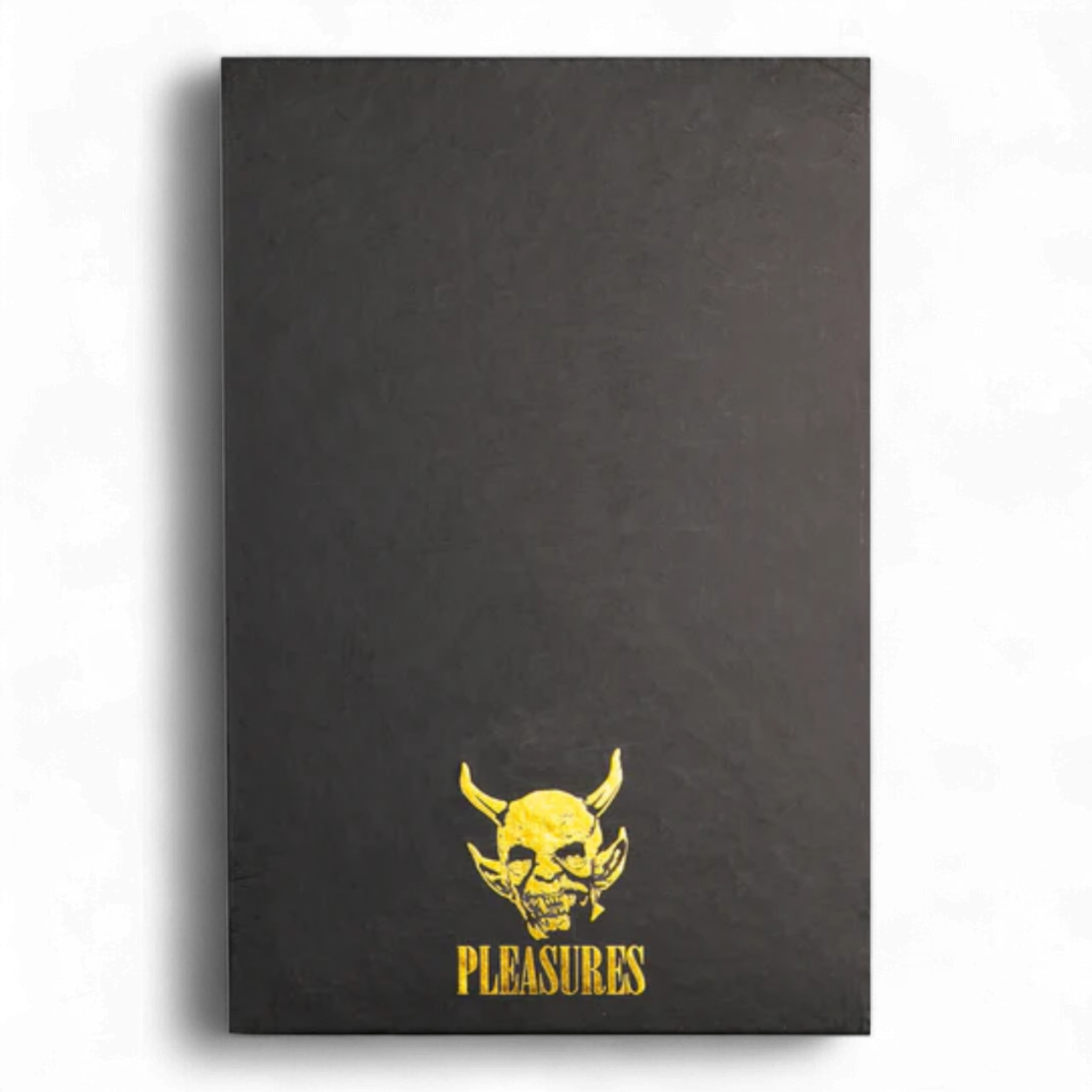 Pleasures Saint Booksafe