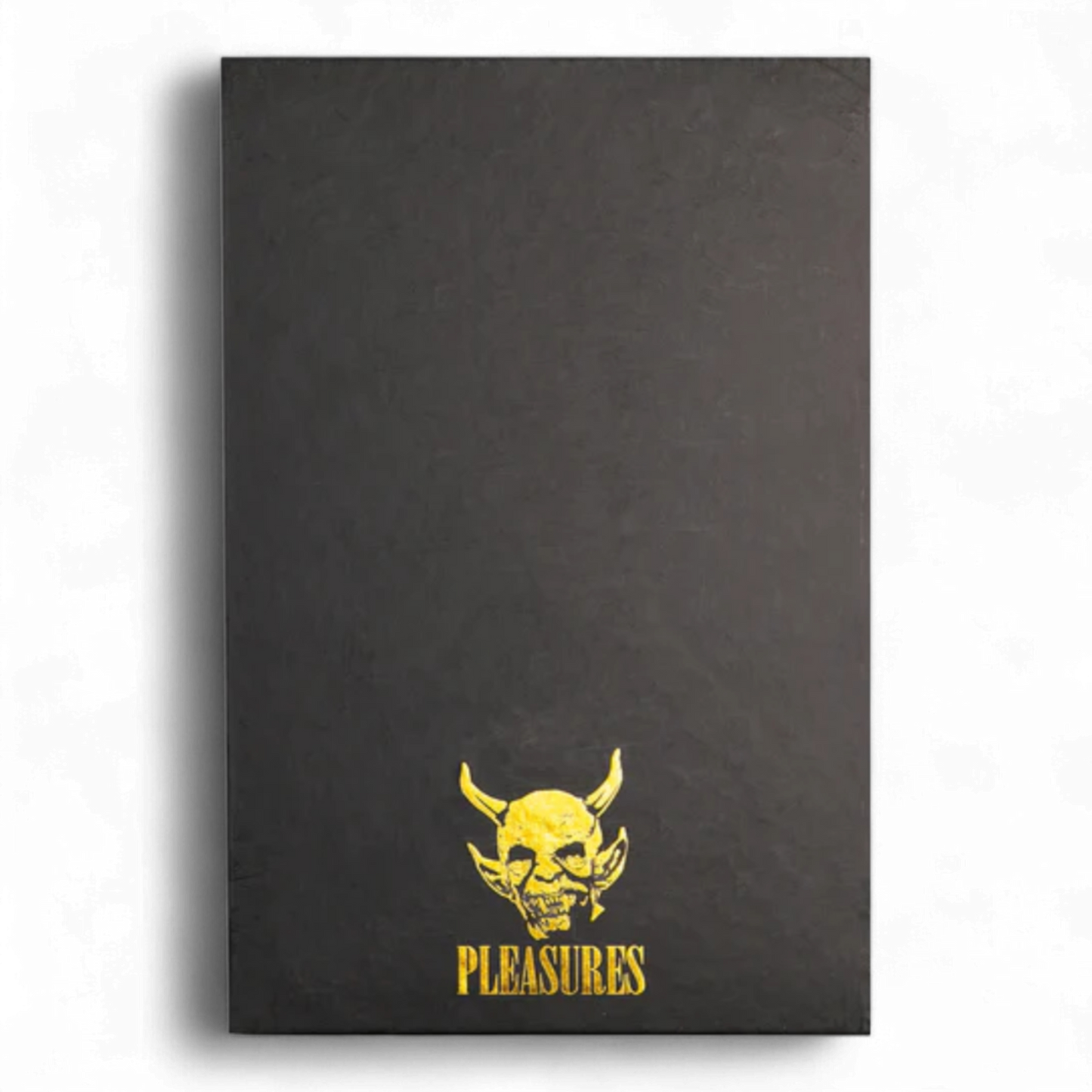 PLEASURES SAINT BOOKSAFE