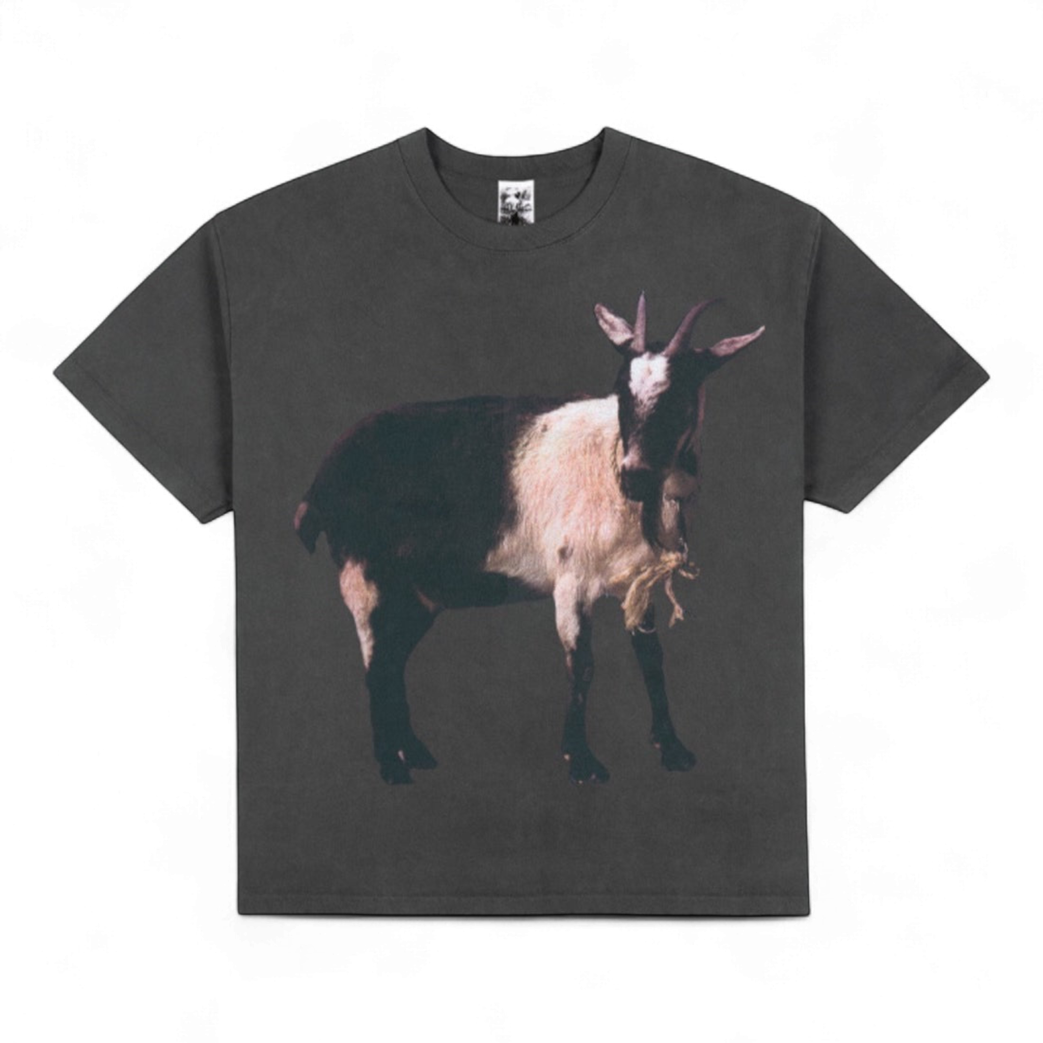 Basketcase Gallery Billy Tee