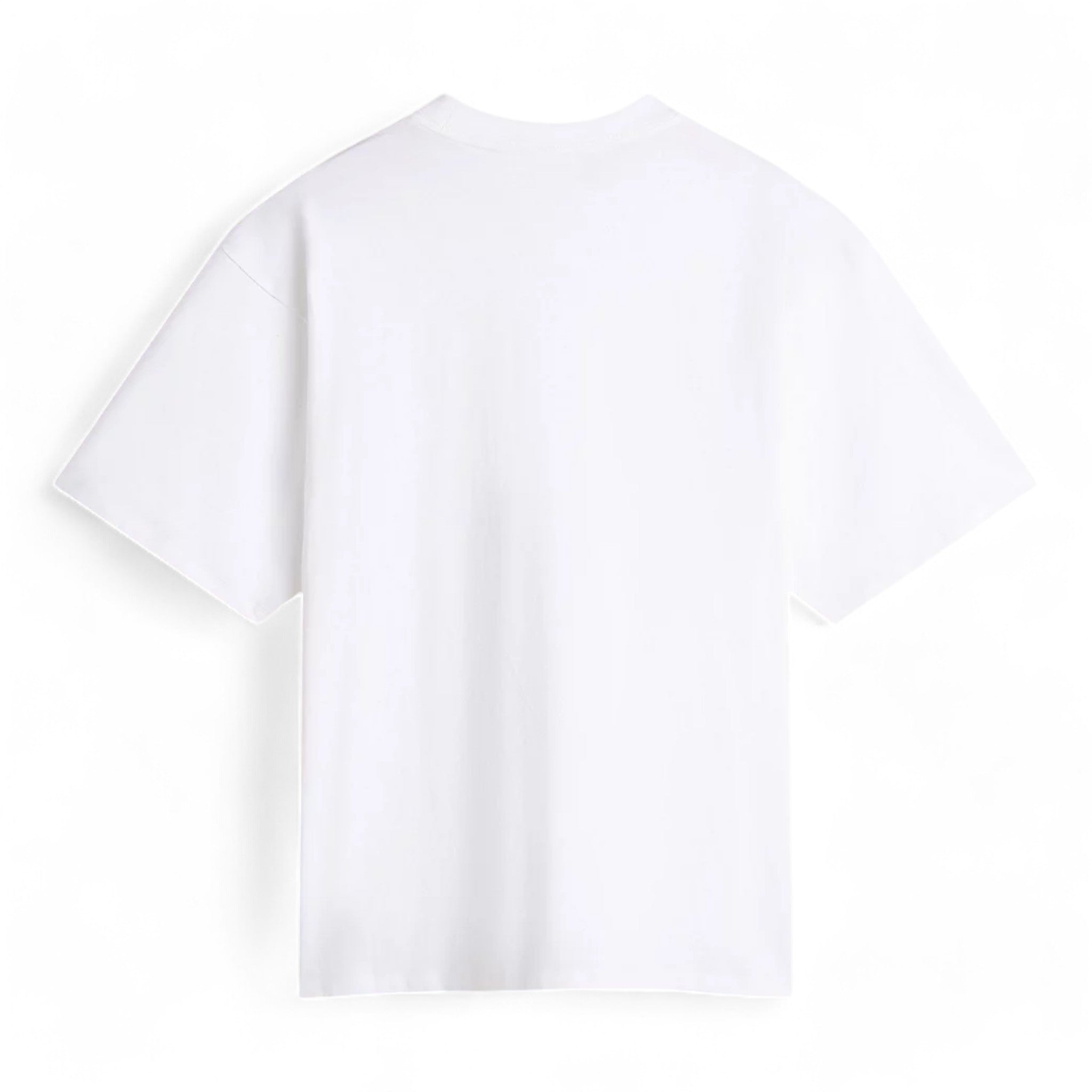 Vans Standards T-shirt