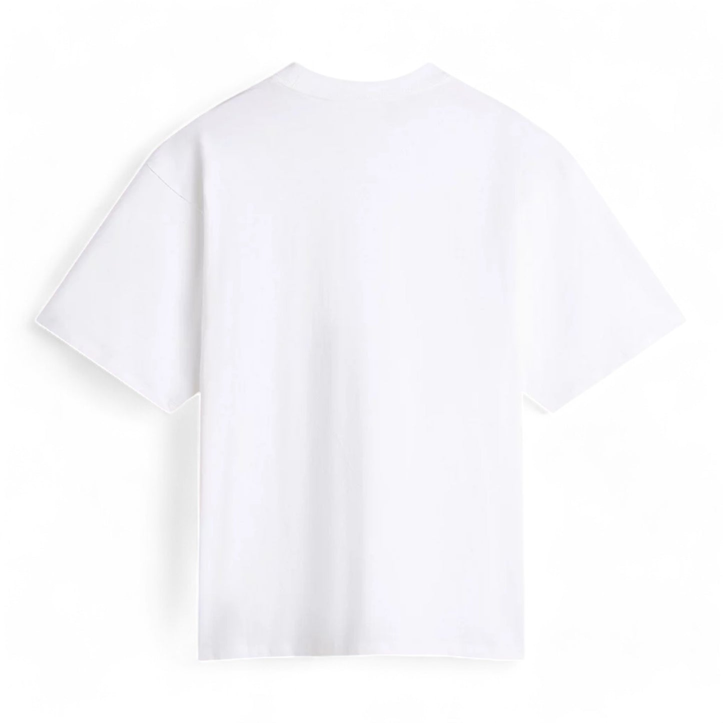 VANS STANDARDS T-SHIRT