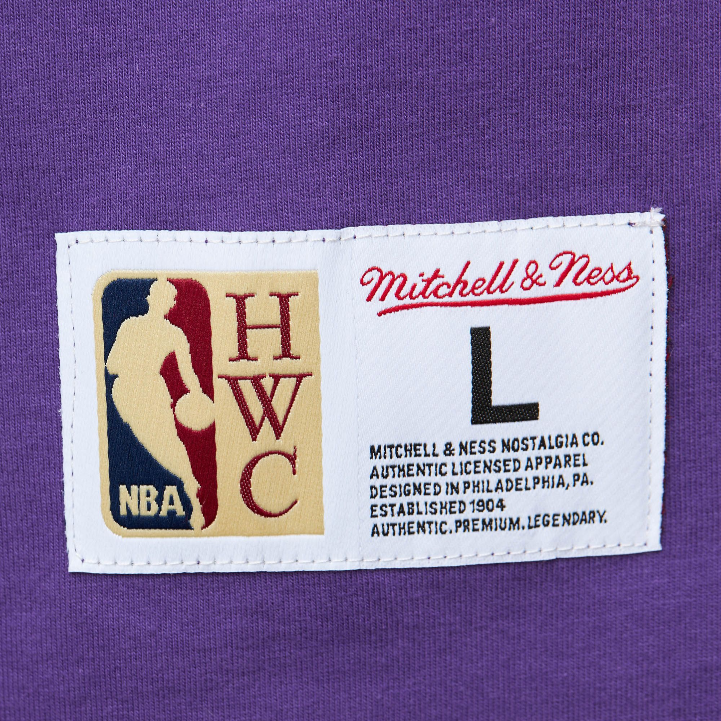 MITCHELL & NESS HEAVYWEIGHT PREMIUM VINCE CARTER