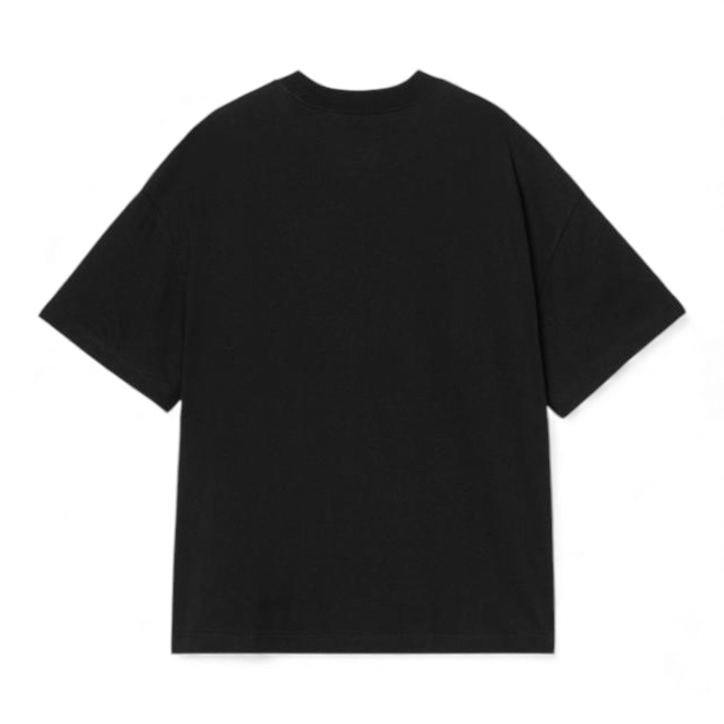 Carhartt WIP S/S DECONSTRUCTED LABEL T-SHIRT