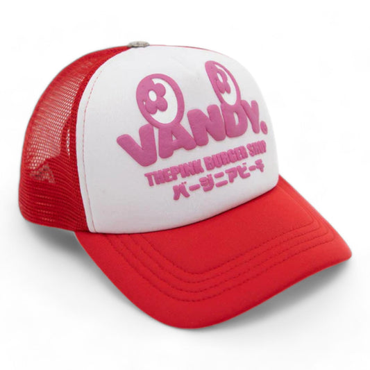 VANDY THE PINK TRUCKER HAT