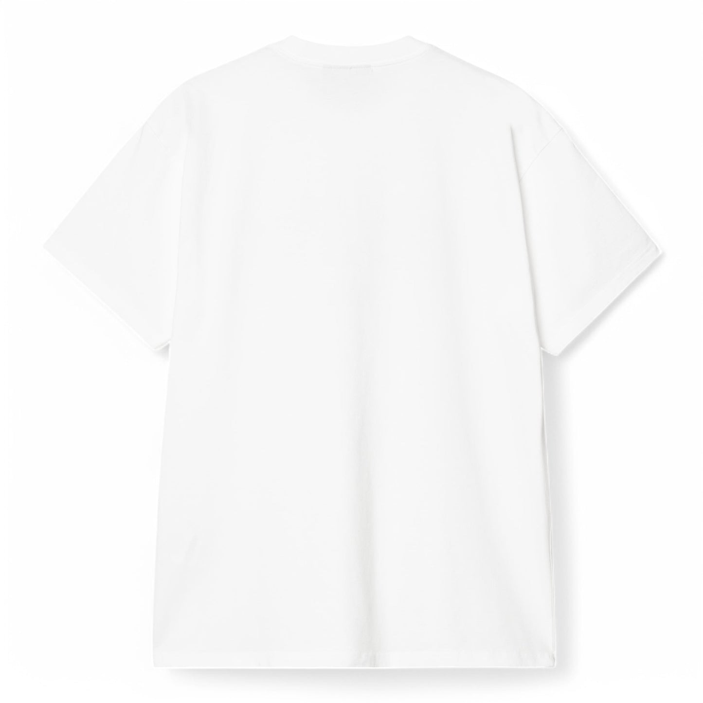 CARHARTT WIP S/S LECTURE T-SHIRT