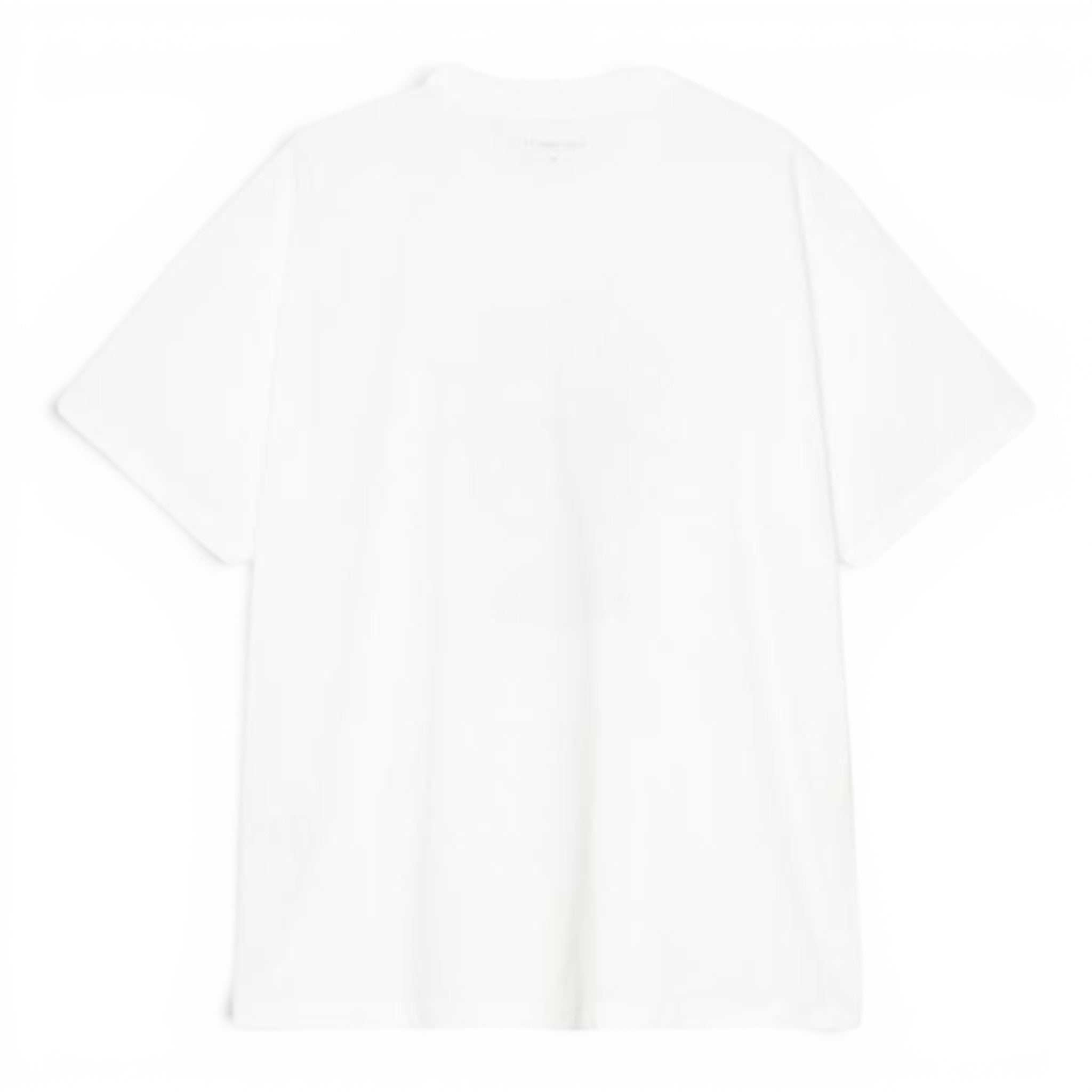 Carhartt WIP  S/s Fan T-shirt