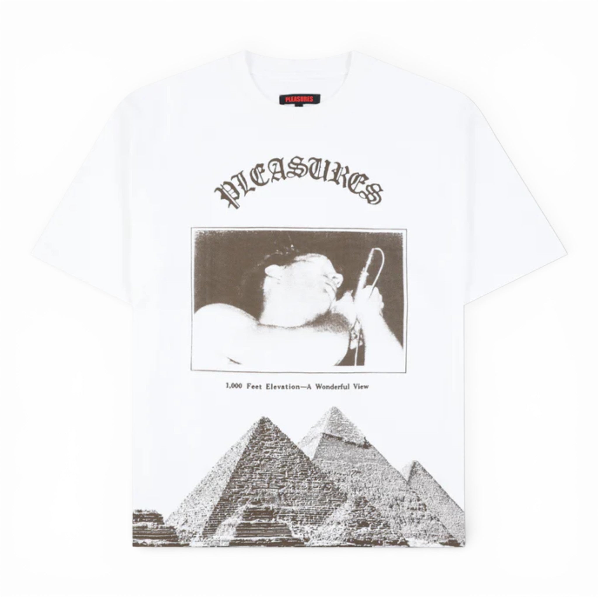 Pleasures Elevation Heavyweight Shirt