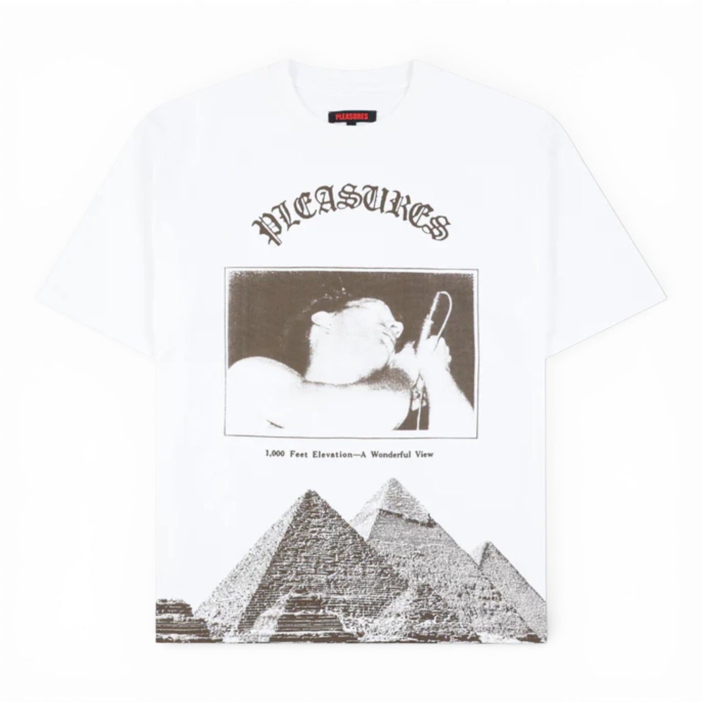 PLEASURES ELEVATION HEAVYWEIGHT SHIRT