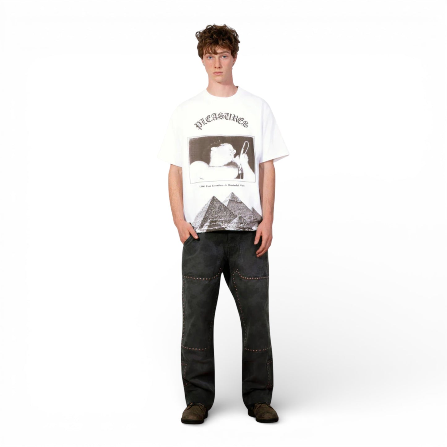 PLEASURES ELEVATION HEAVYWEIGHT SHIRT