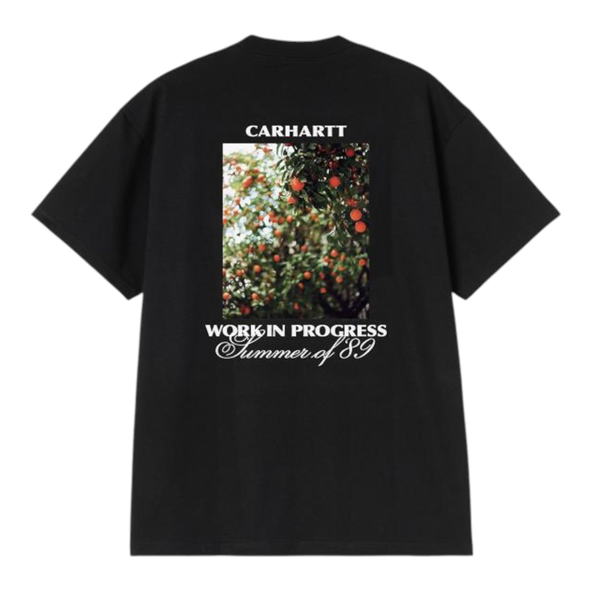 Carhartt WIP S/s Warm Views T-shirt