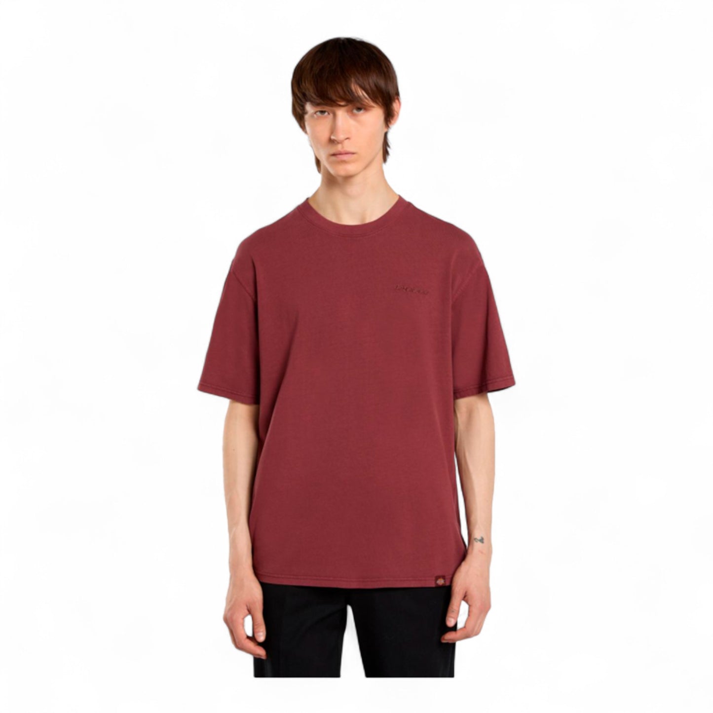 DICKIES PLENTYWOOD  S/S TEE