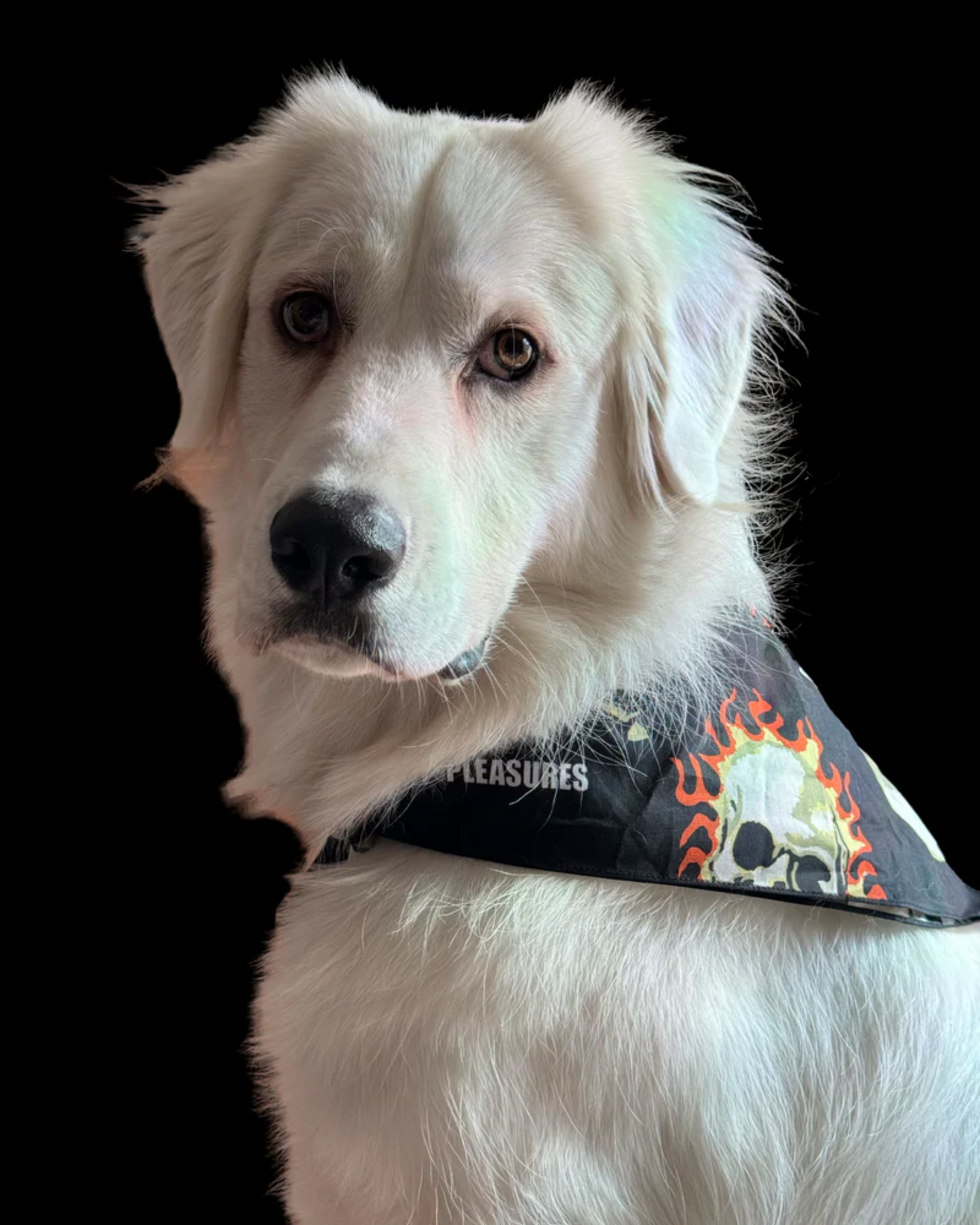 PLEASURES SKULL BANDANA