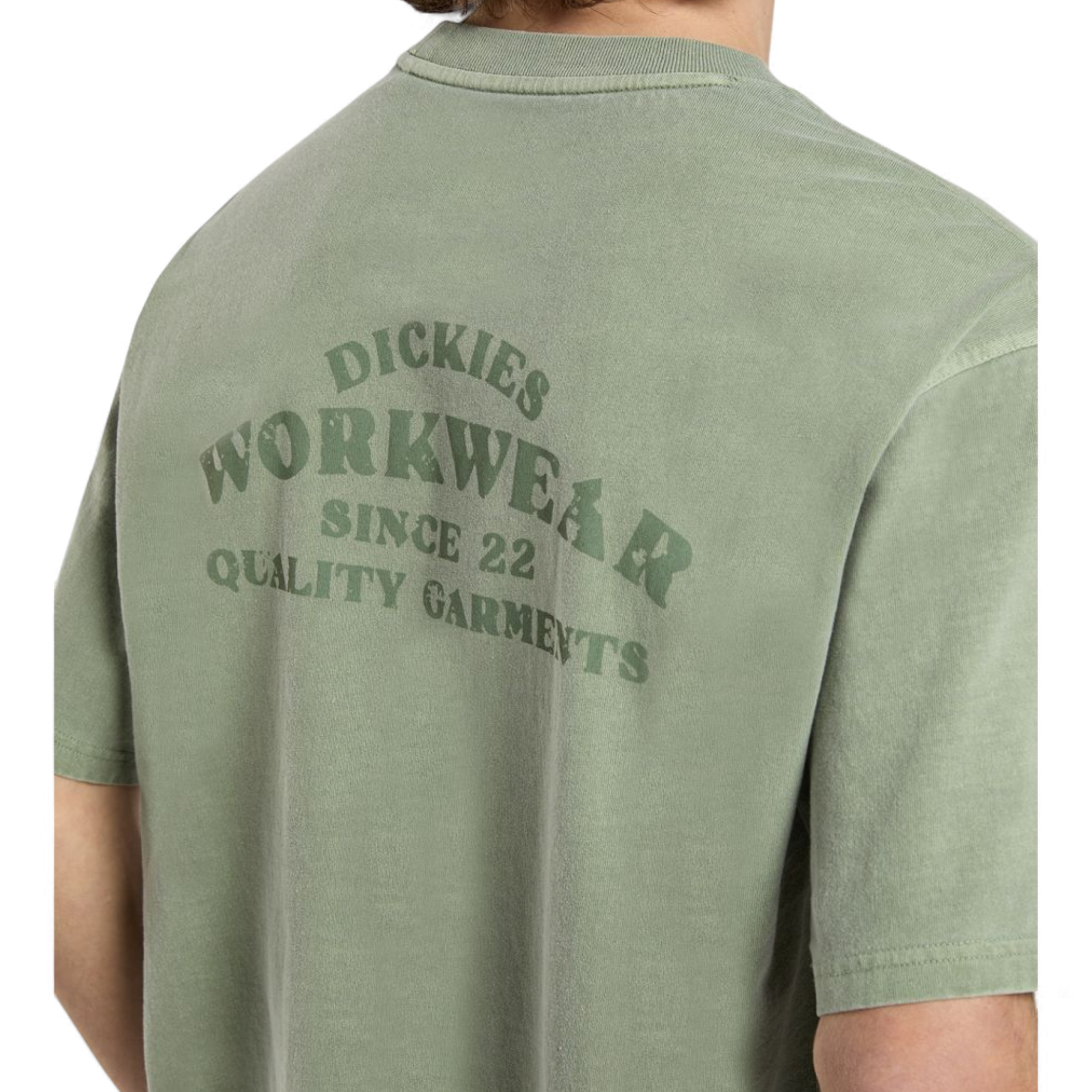 Dickies Christiana Mid Weight Garment Dye T-shirt