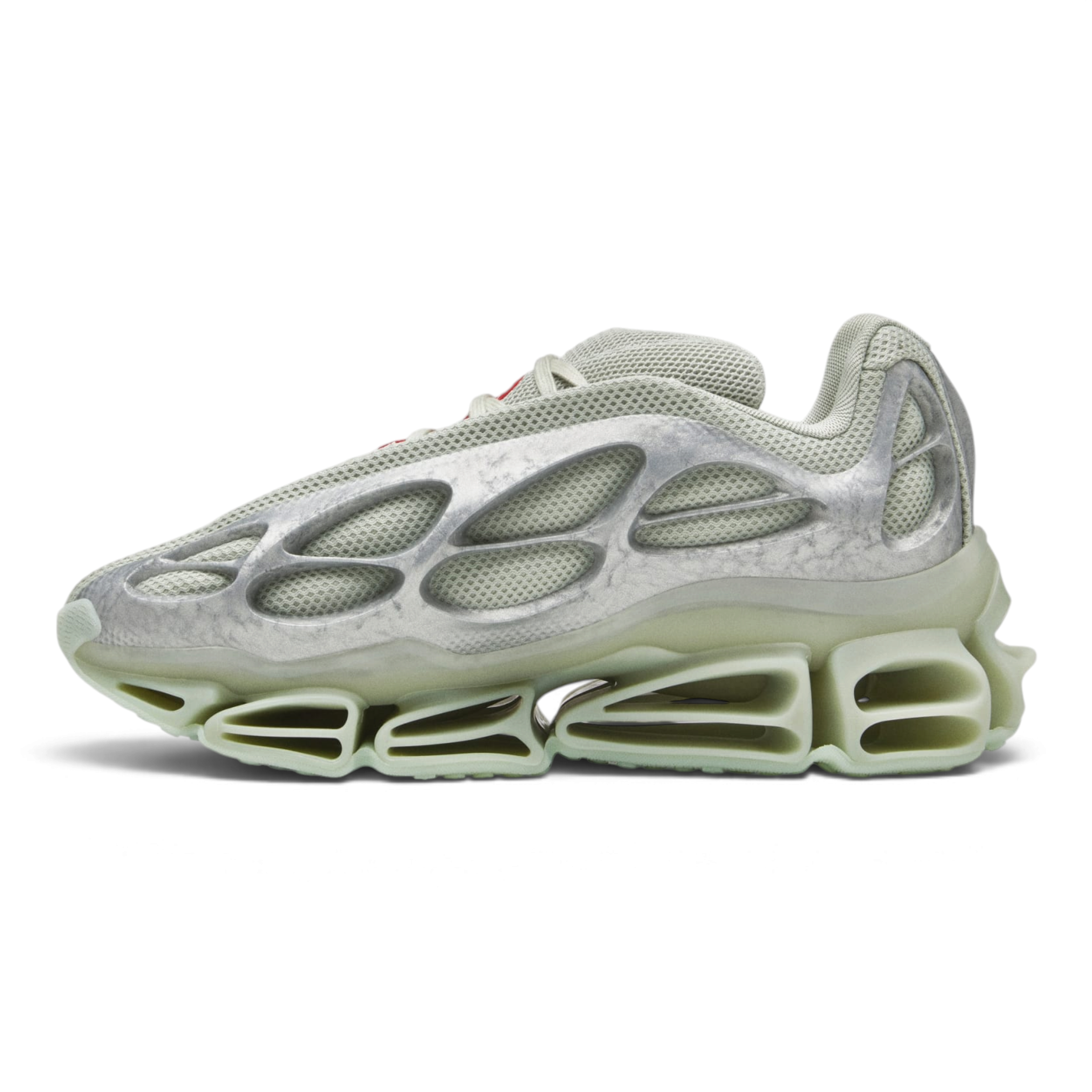 Adidas Chavarria Mega WC Version