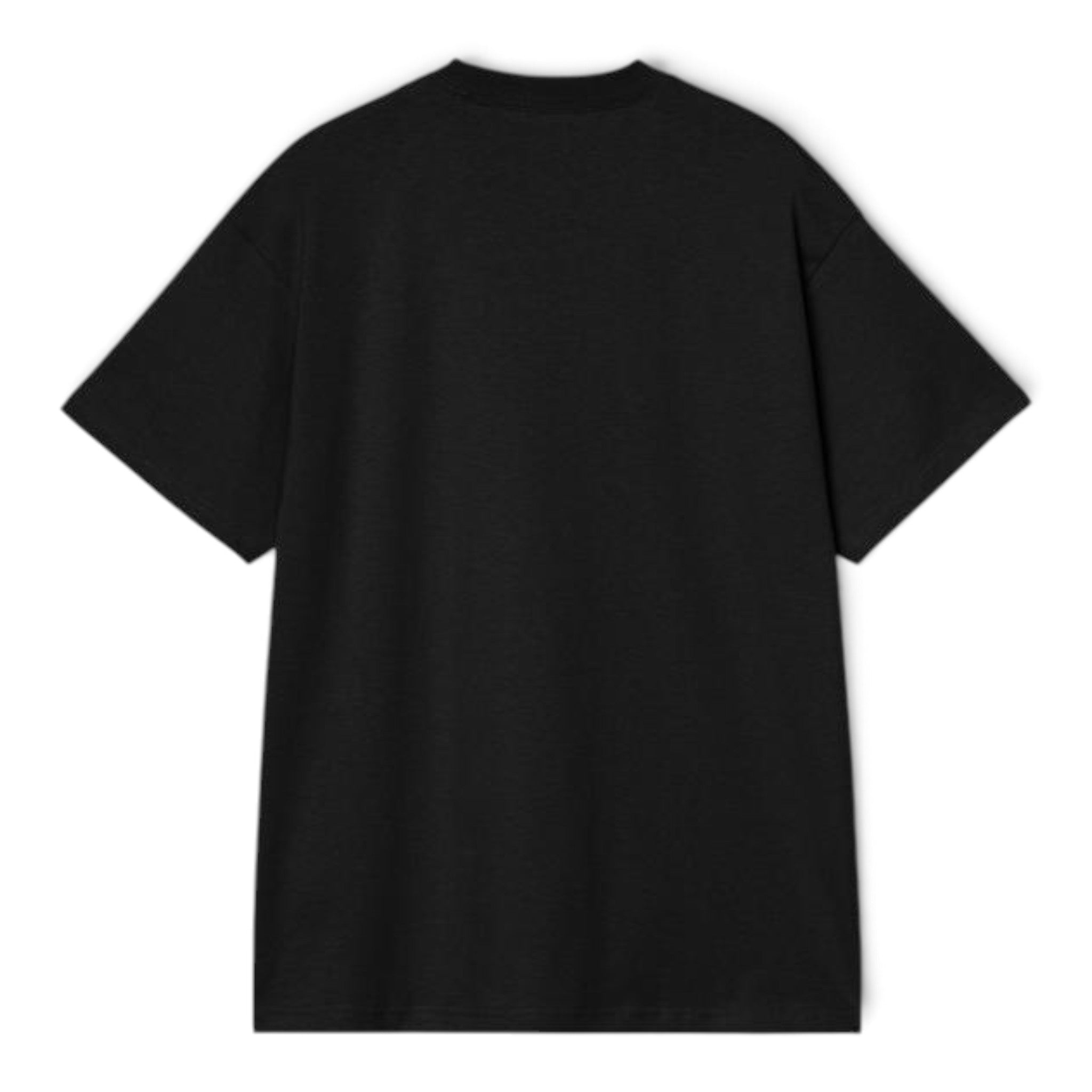 Carhartt WIP S/S Old Painter T-Shirt