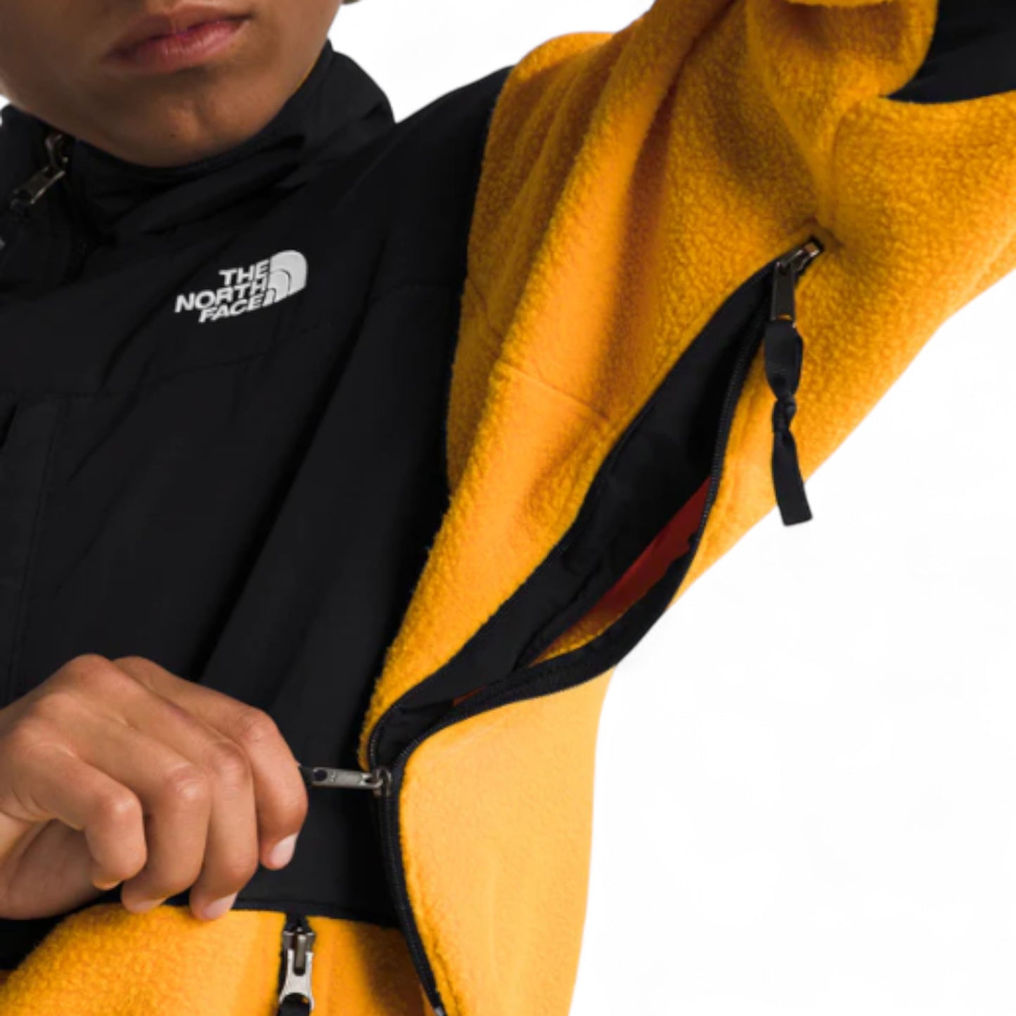 THE NORTH FACE RETRO DENALI FLEECE JACKET