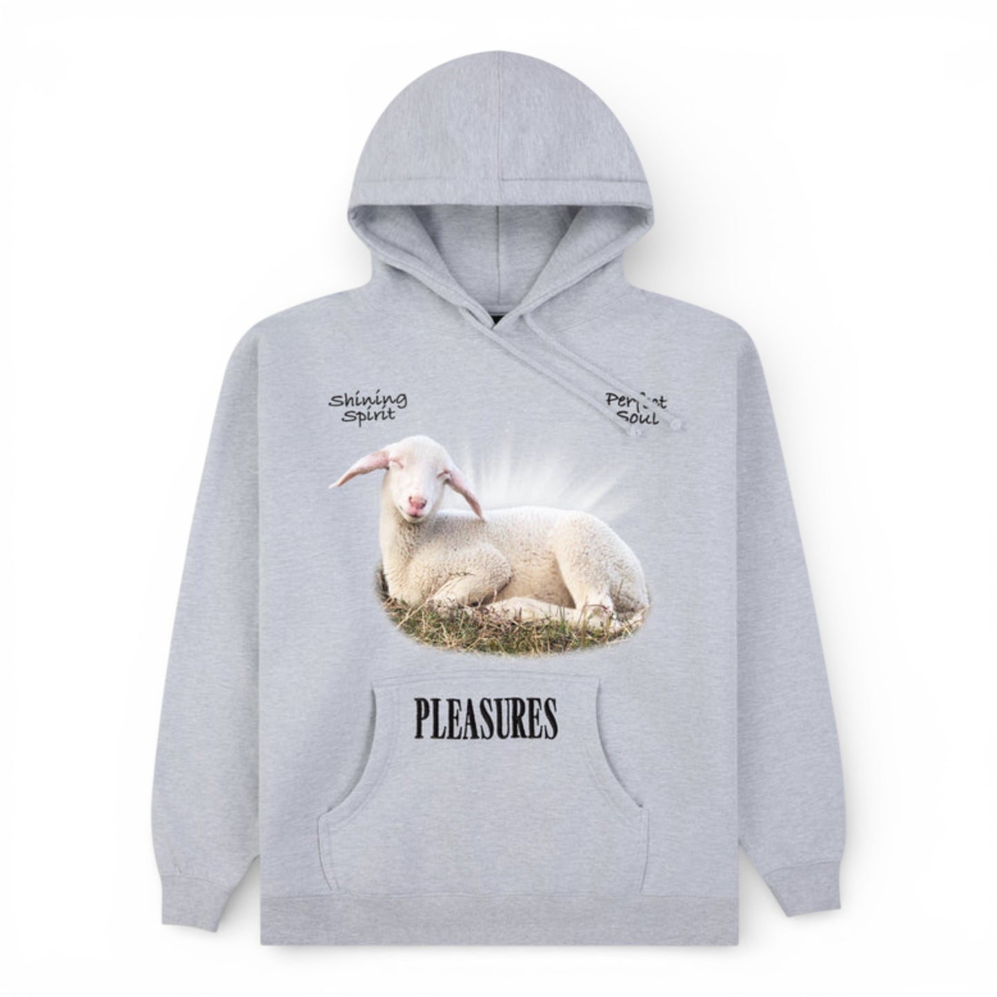 PLEASURES SHINE HOODIE