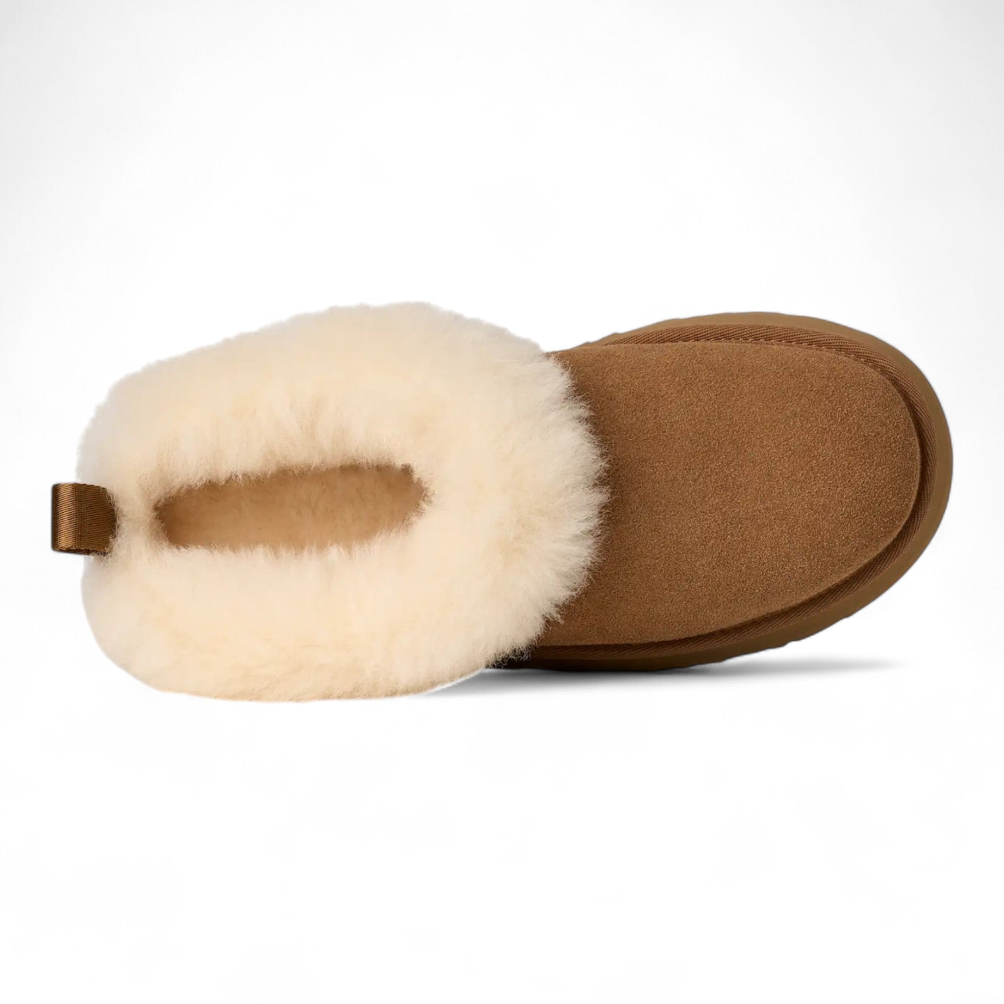Womens Ugg Tazzelle