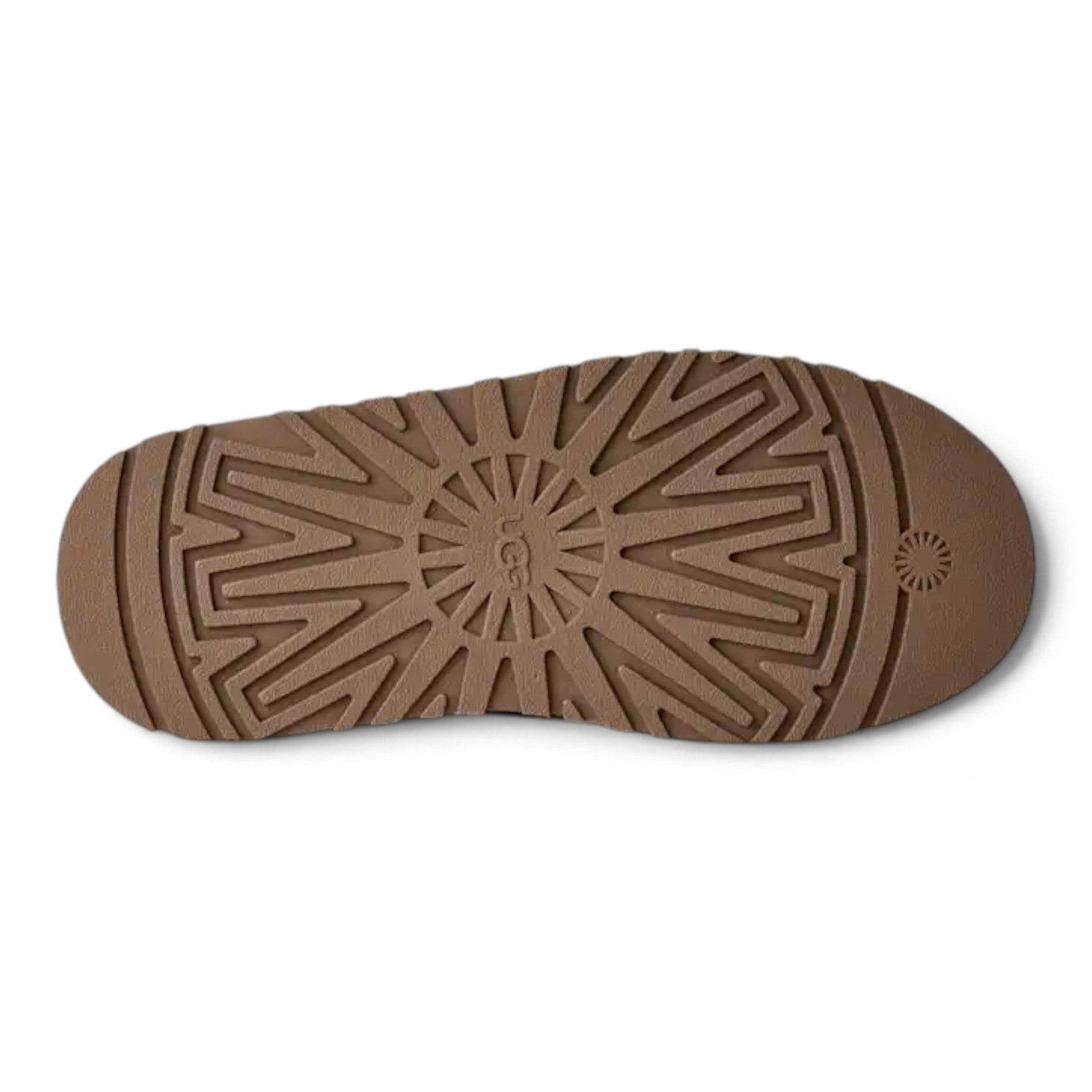 Womens Ugg Tazz II Portobello