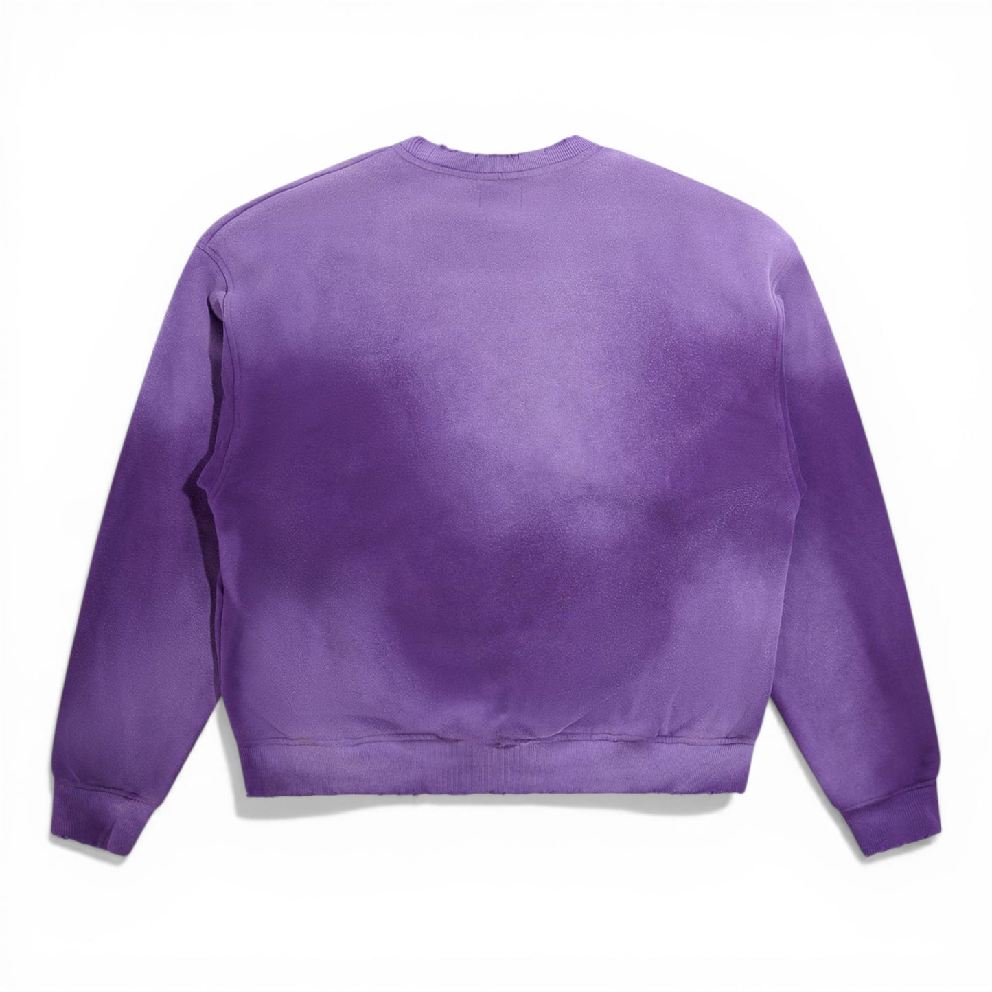 DIET STARTS MONDAY EAGLE SWEATSHIRT