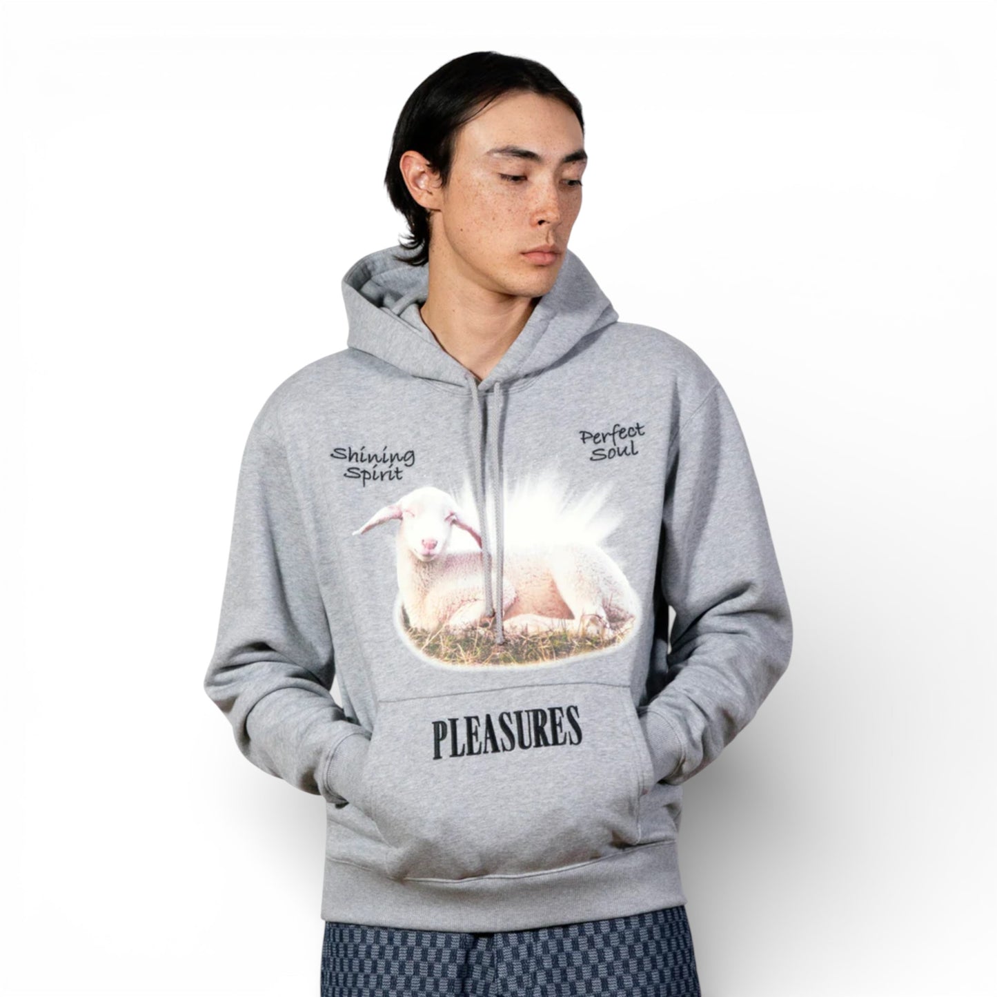 PLEASURES SHINE HOODIE