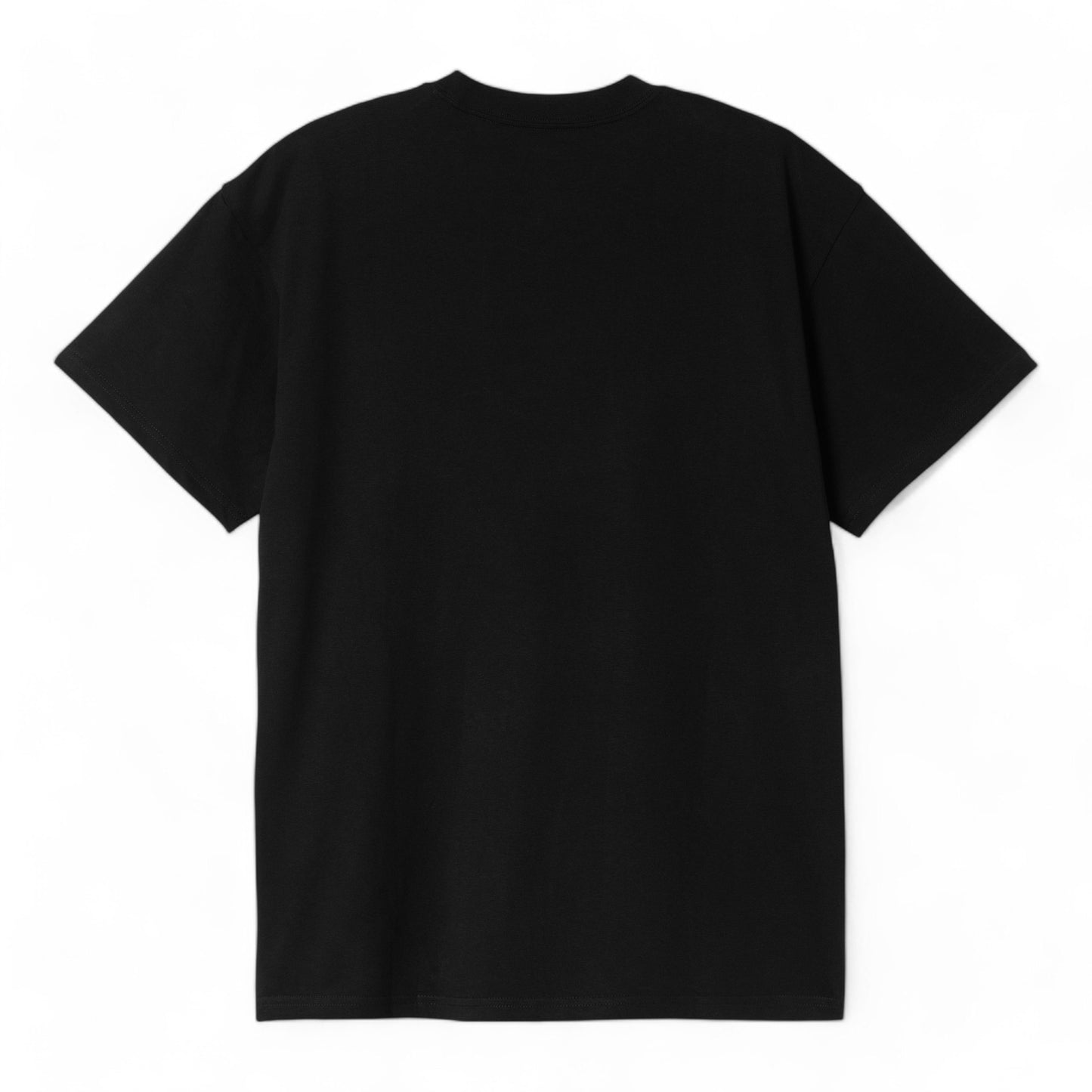 CARHARTT WIP S/S DRIP SCRIPT T-SHIRT