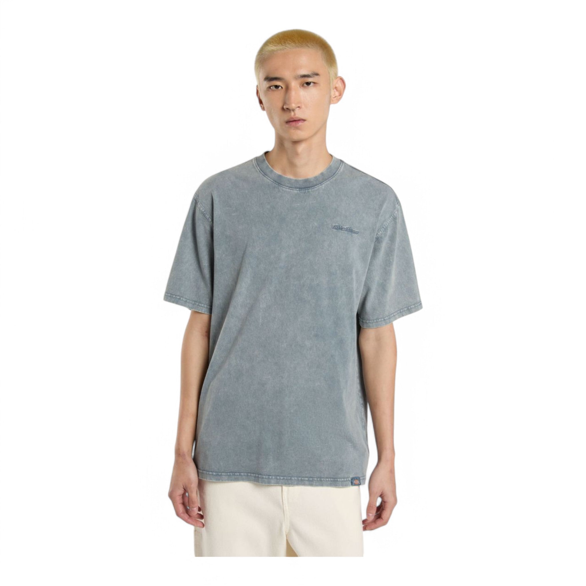 Dickies Plentywood S/s Tee