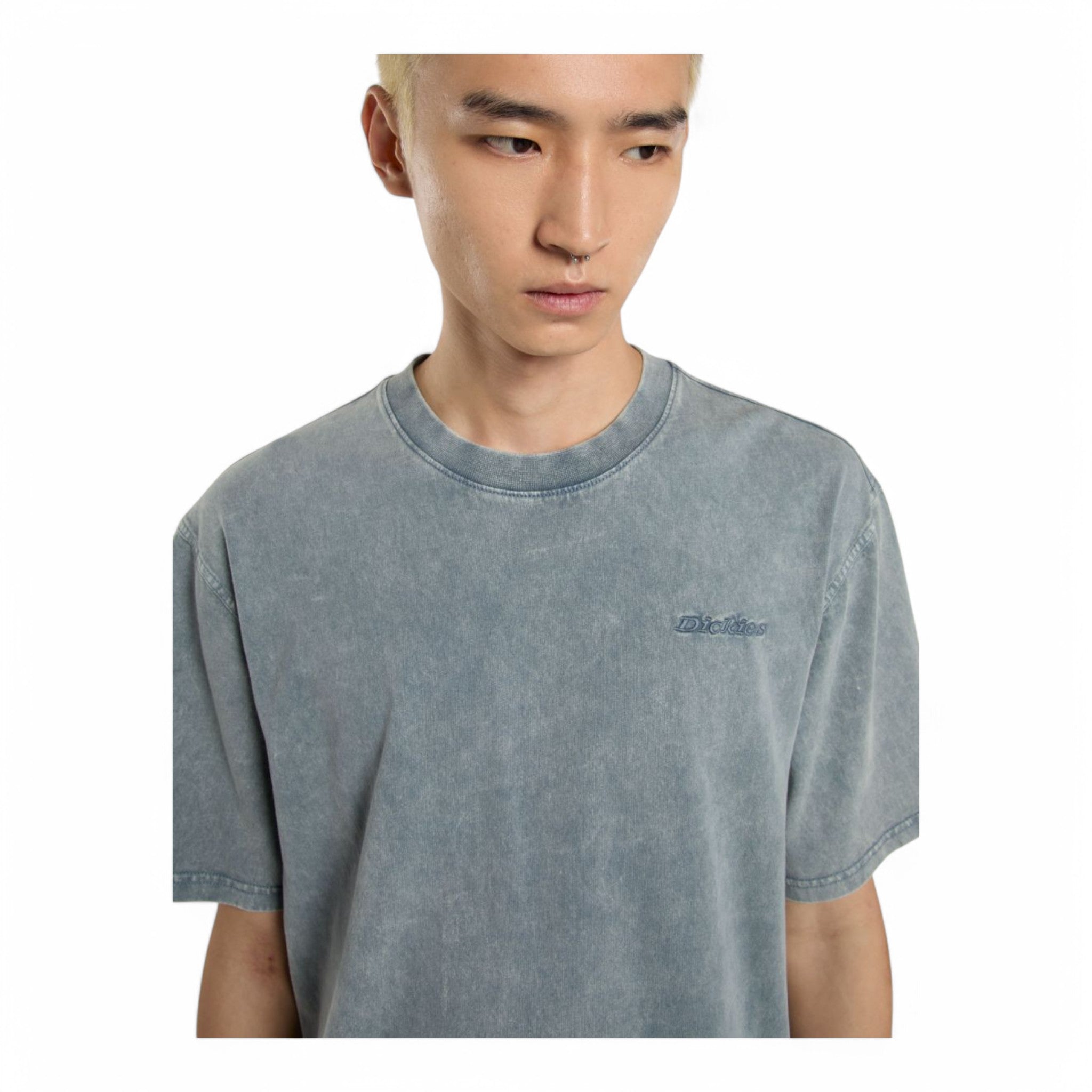 Dickies Plentywood S/s Tee