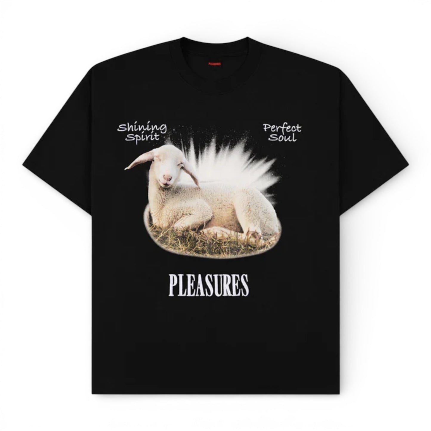 PLEASURES SHINE T-SHIRT