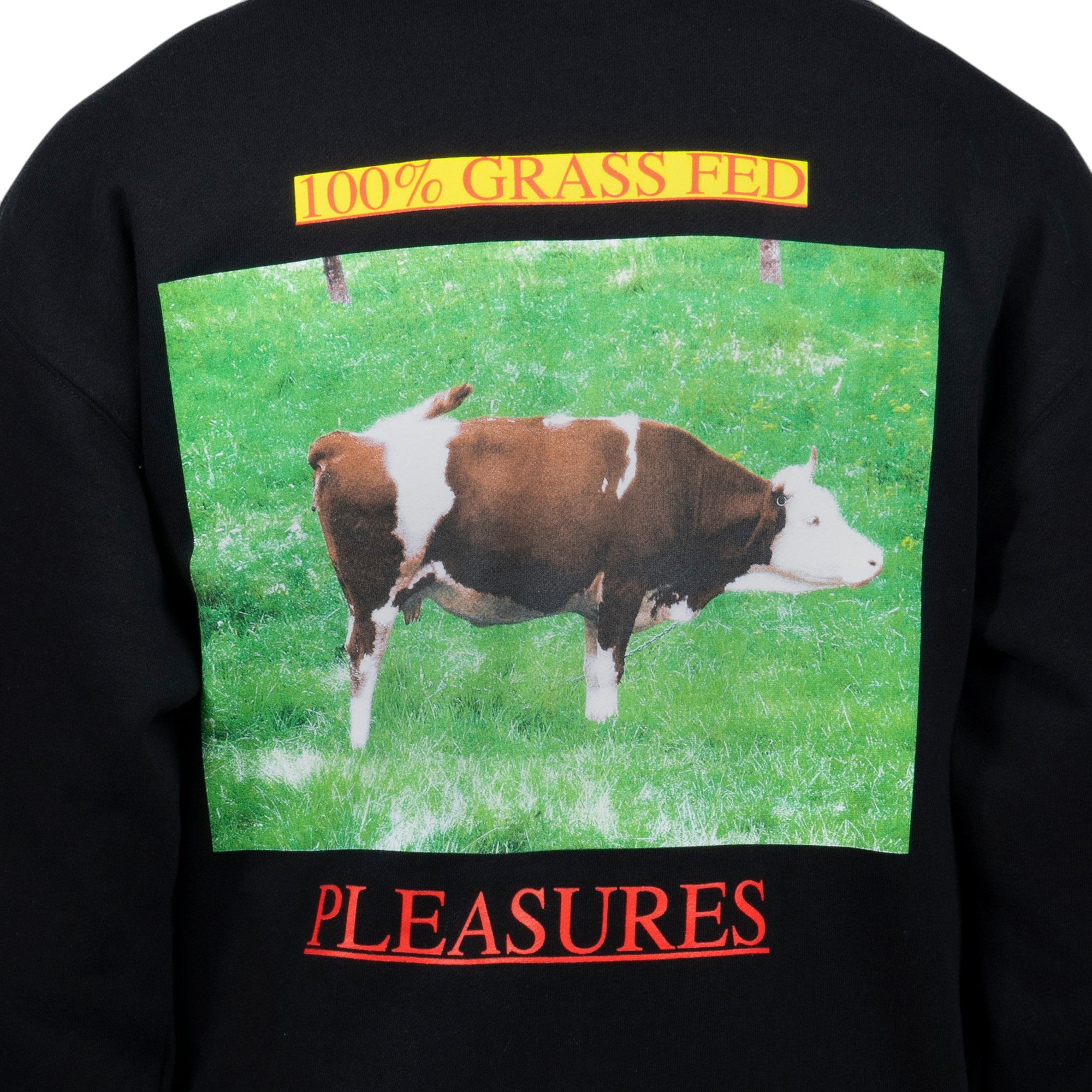 Pleasures Grass Fed Hoodie