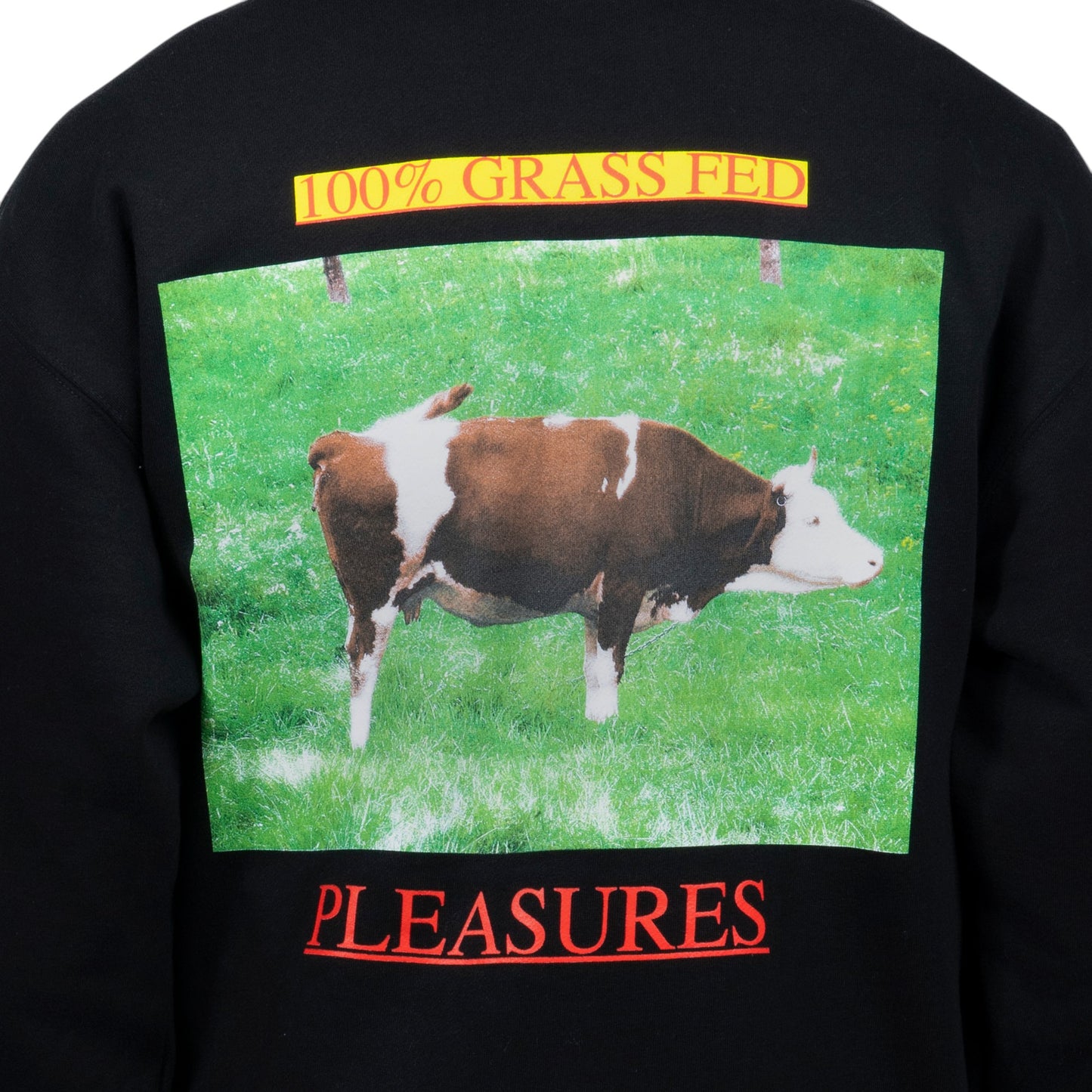 PLEASURES GRASS FED HOODIE