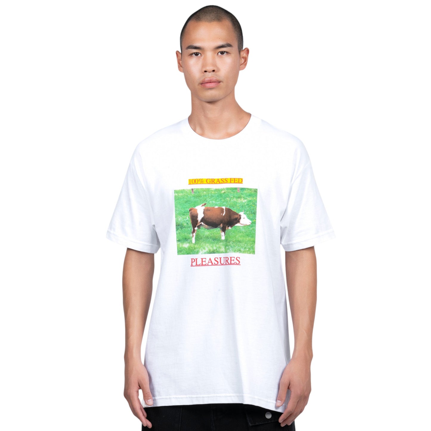 PLEASURES GRASS FED T-SHIRT