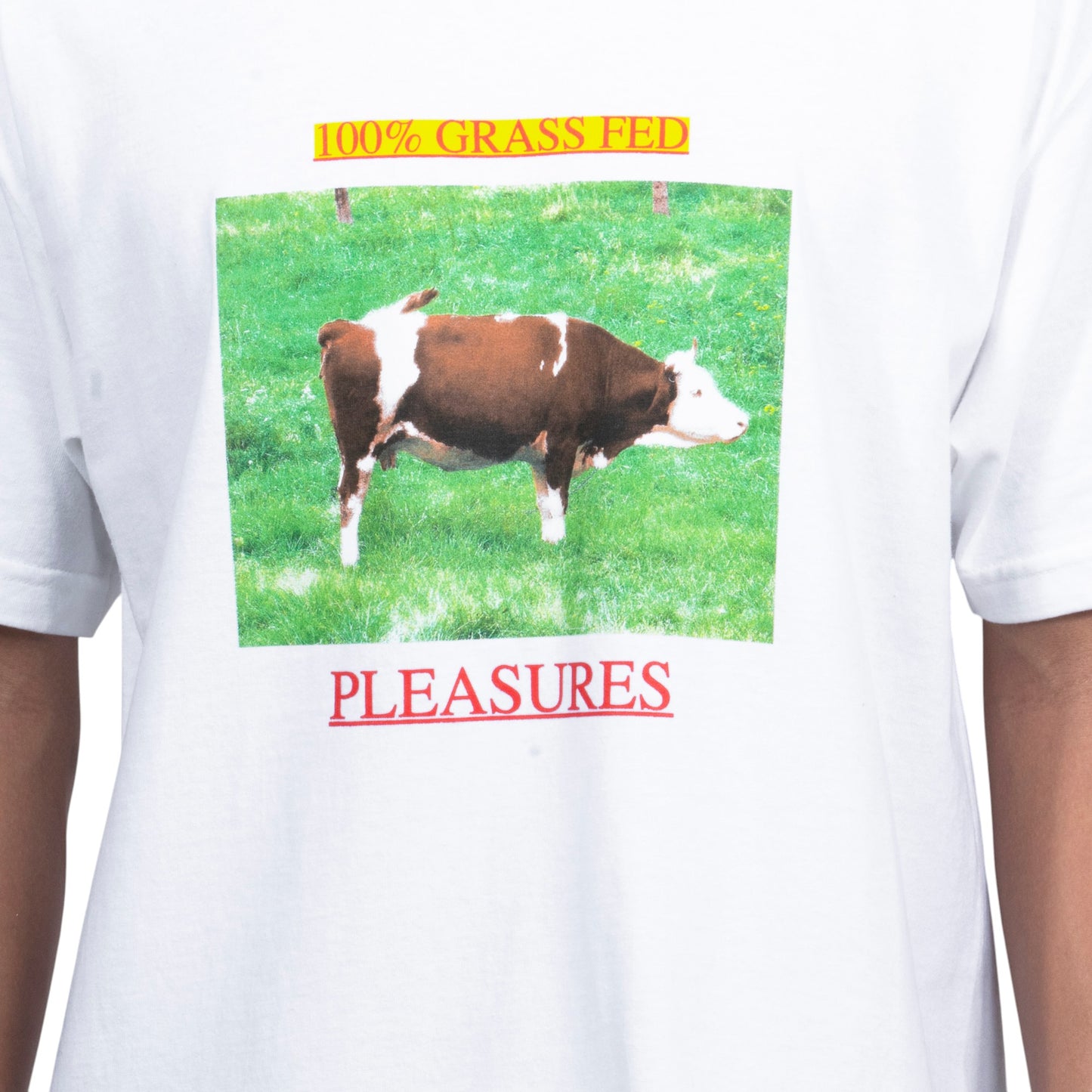 PLEASURES GRASS FED T-SHIRT