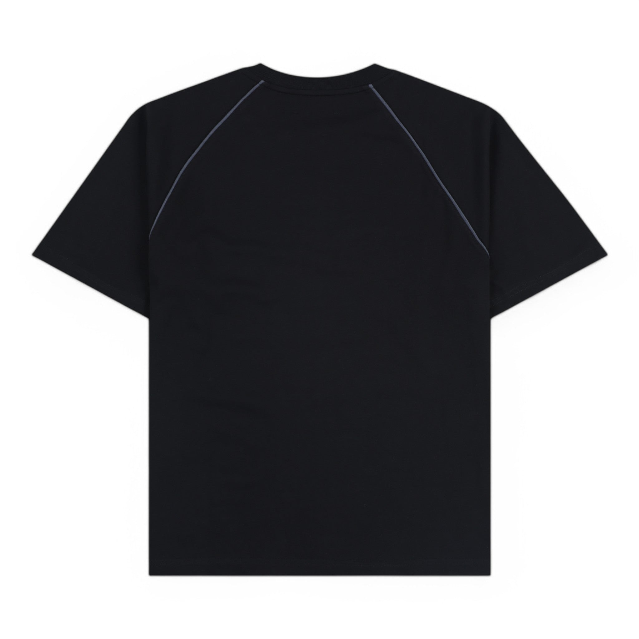 Pleasures Crumble Heavyweight Raglan