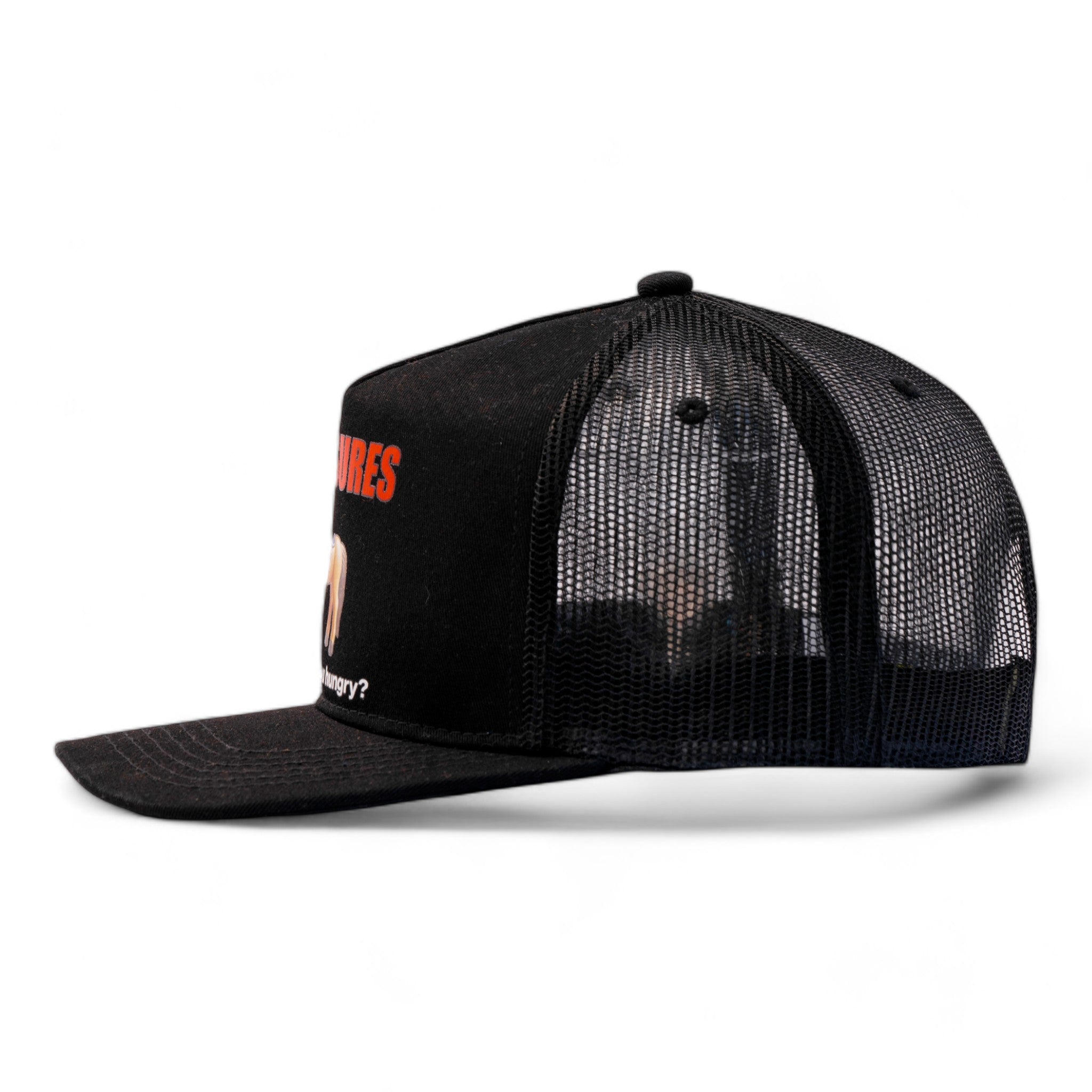 Pleasures Pony Hat