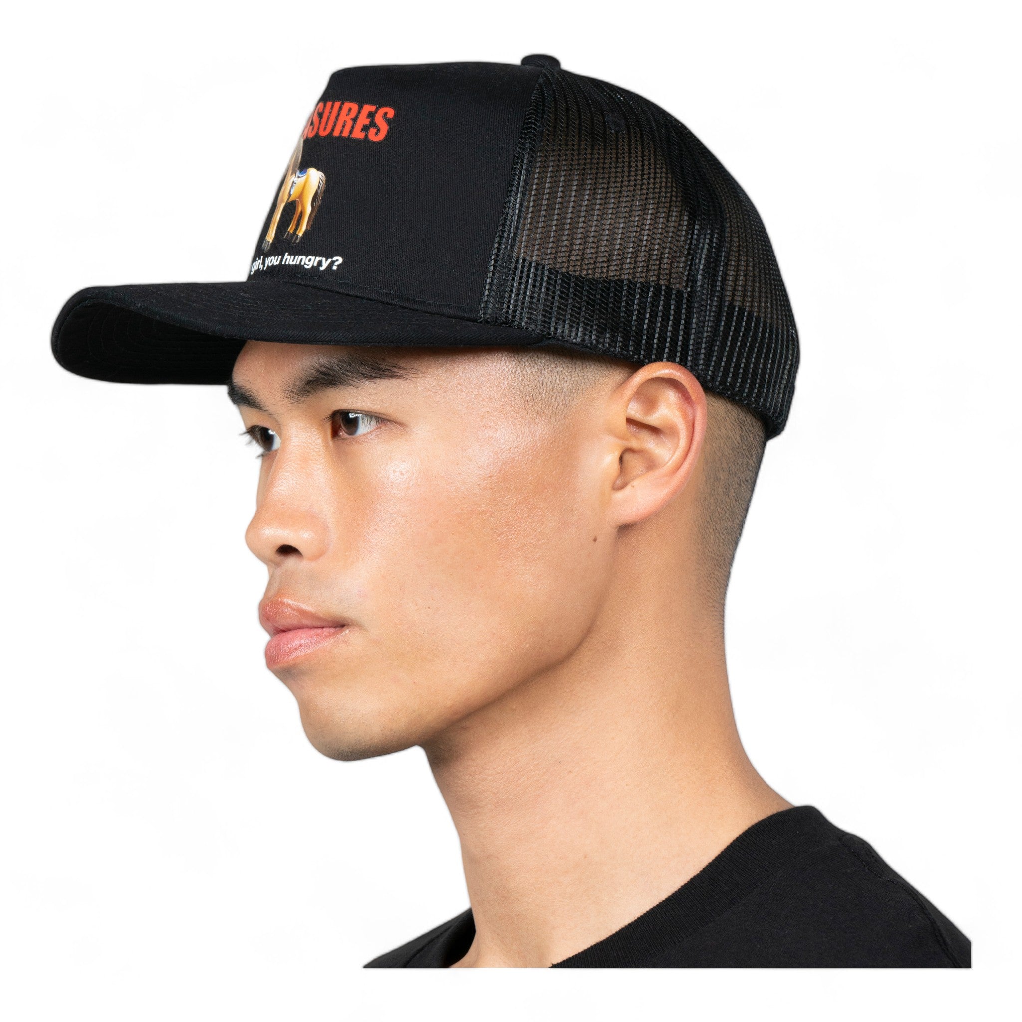 Pleasures Pony Hat